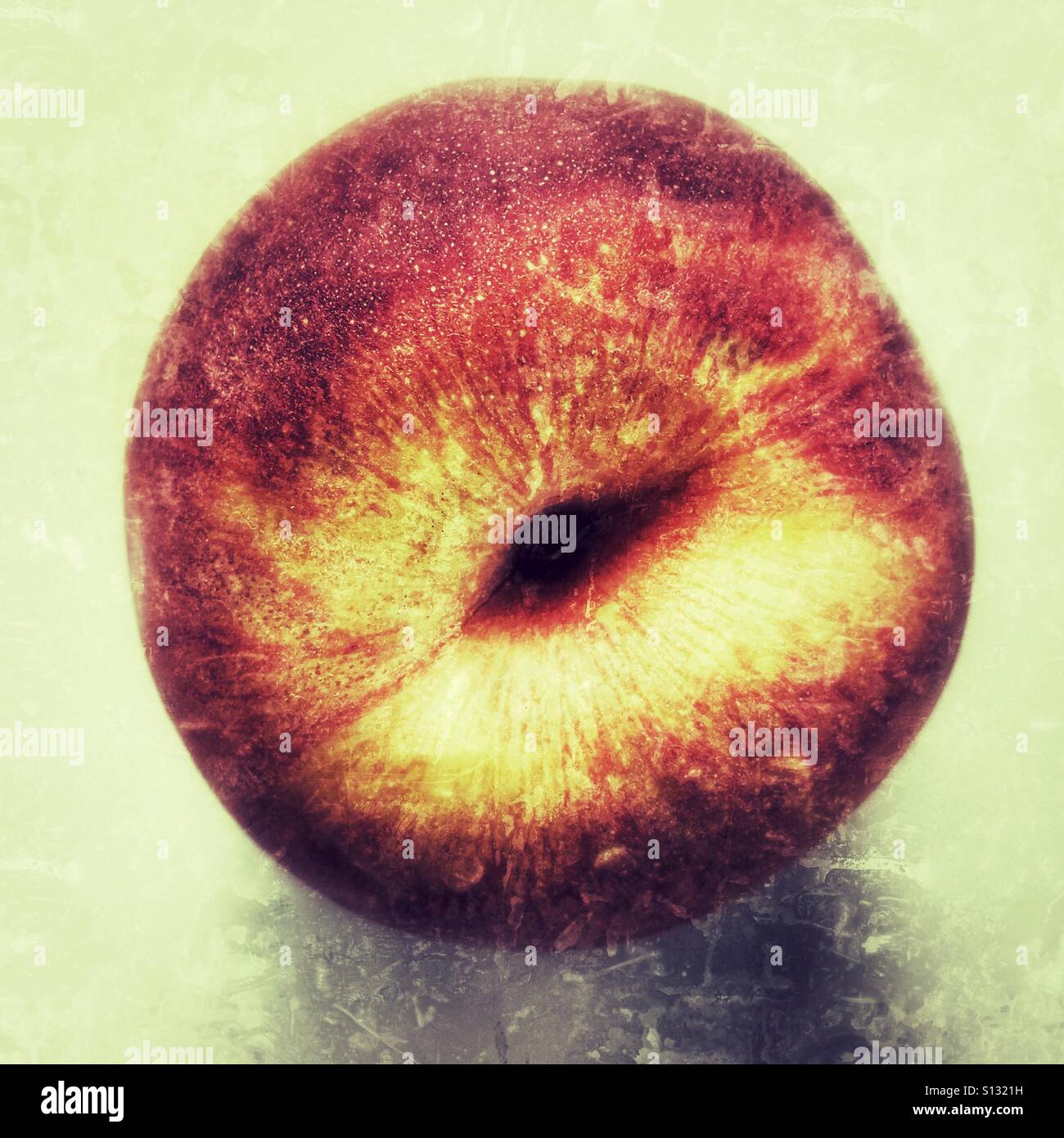 Peach - Smartphone Captured Stock Image