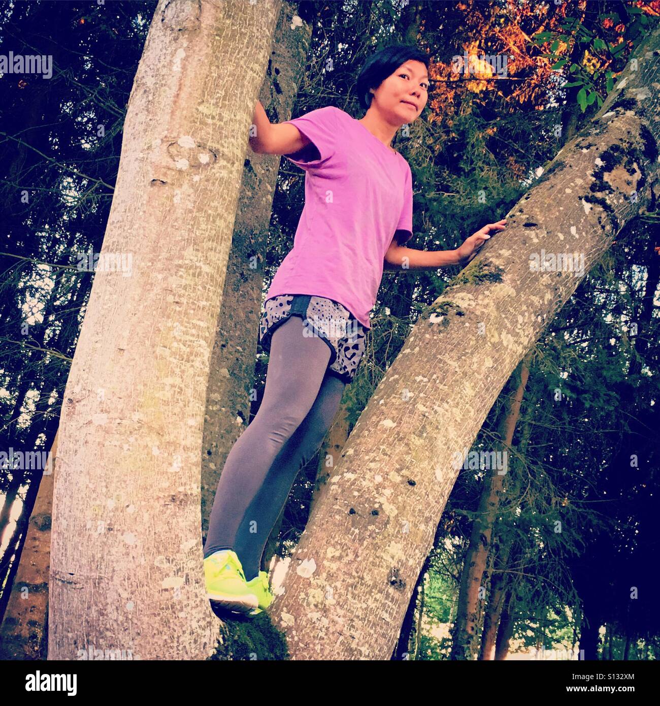 woman in a tree - Smartphone Captured Stock Image