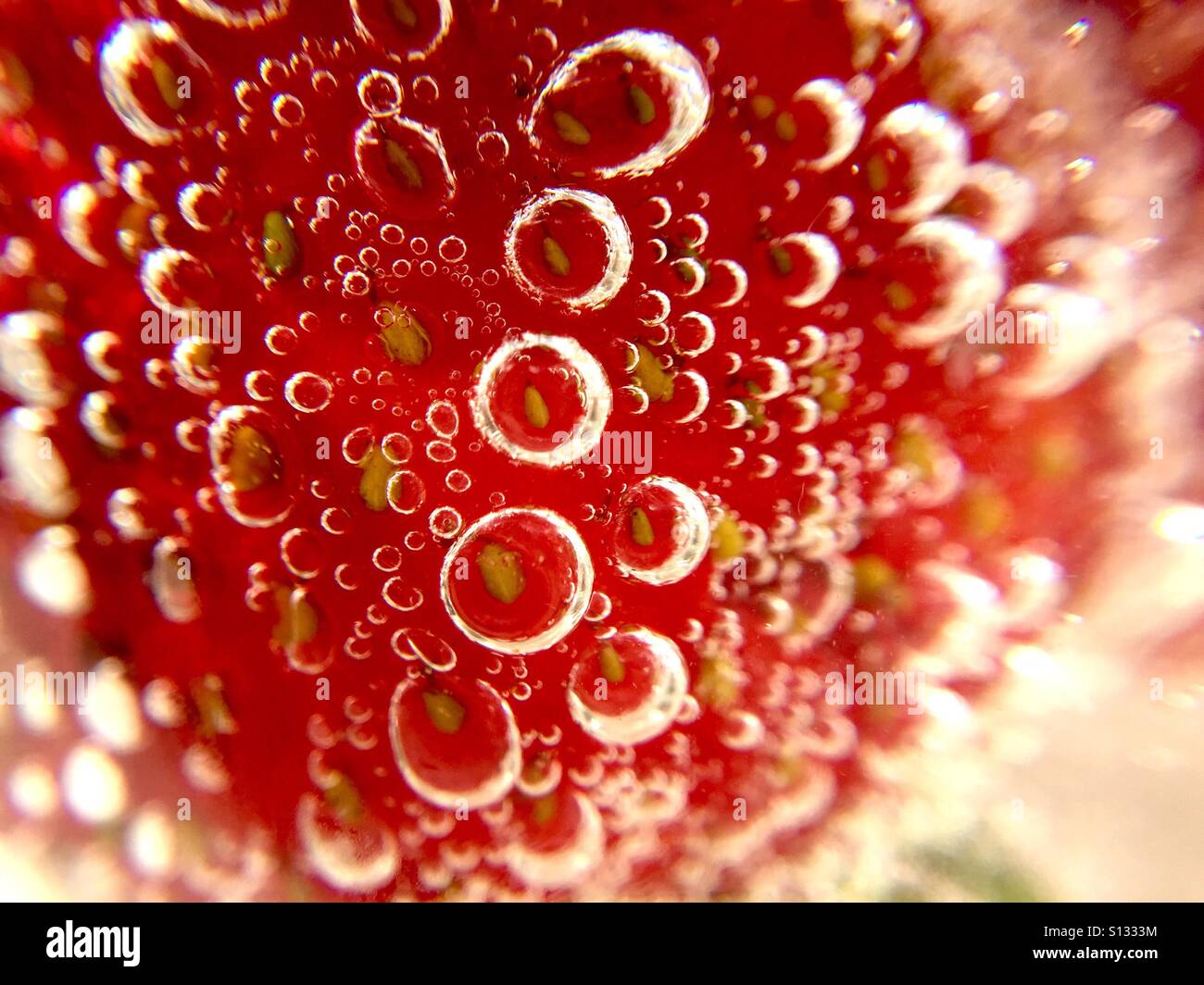 Strawberry bubbly Stock Photo