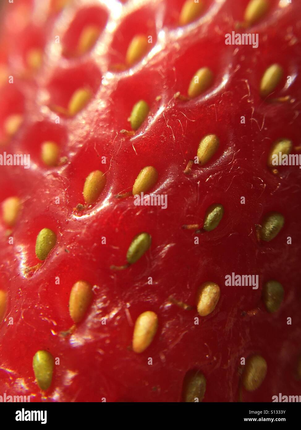 Close up of a strawberry - Smartphone Captured Stock Image