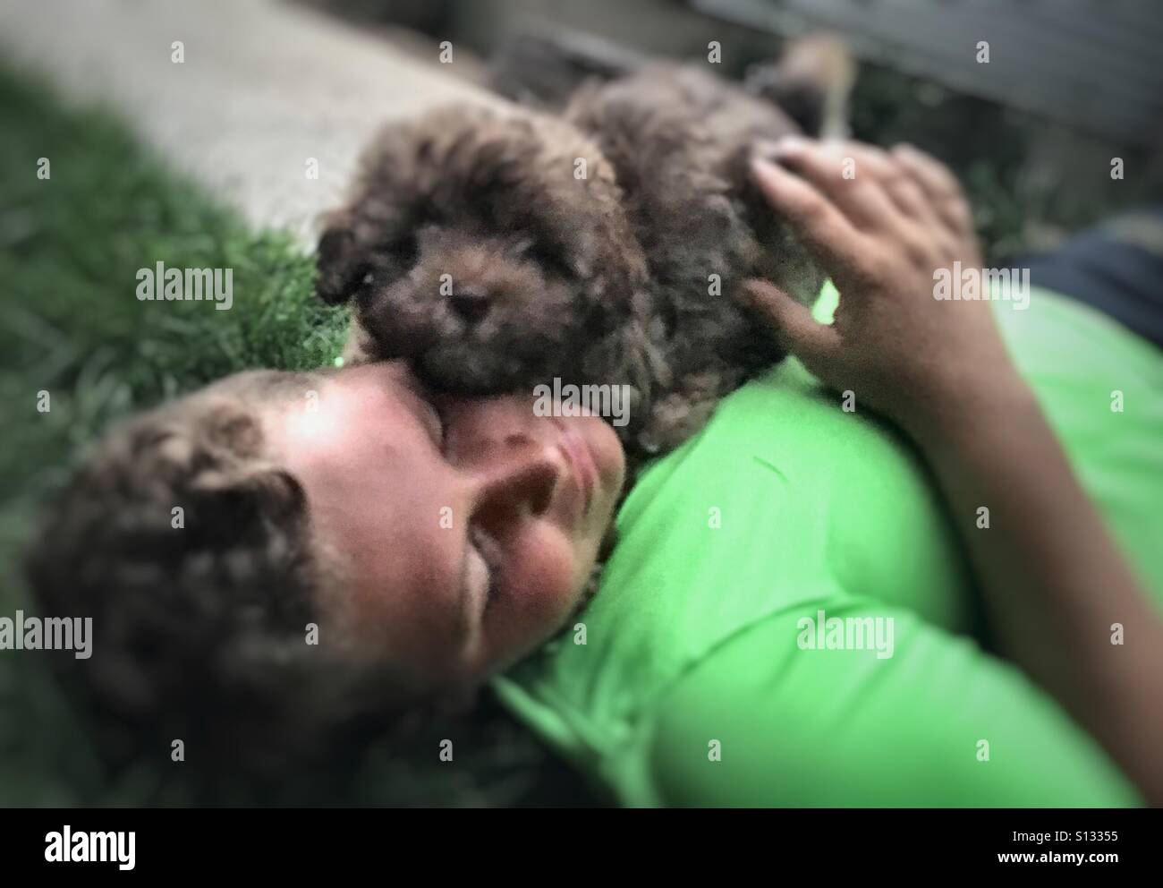 Puppy and boy Stock Photo Alamy