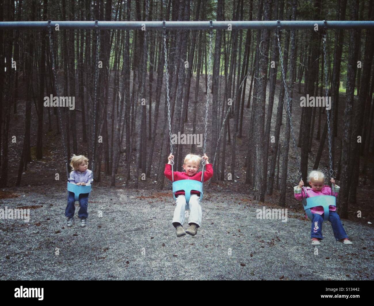 Three children on a swing in a mountain forest. Stock Photo