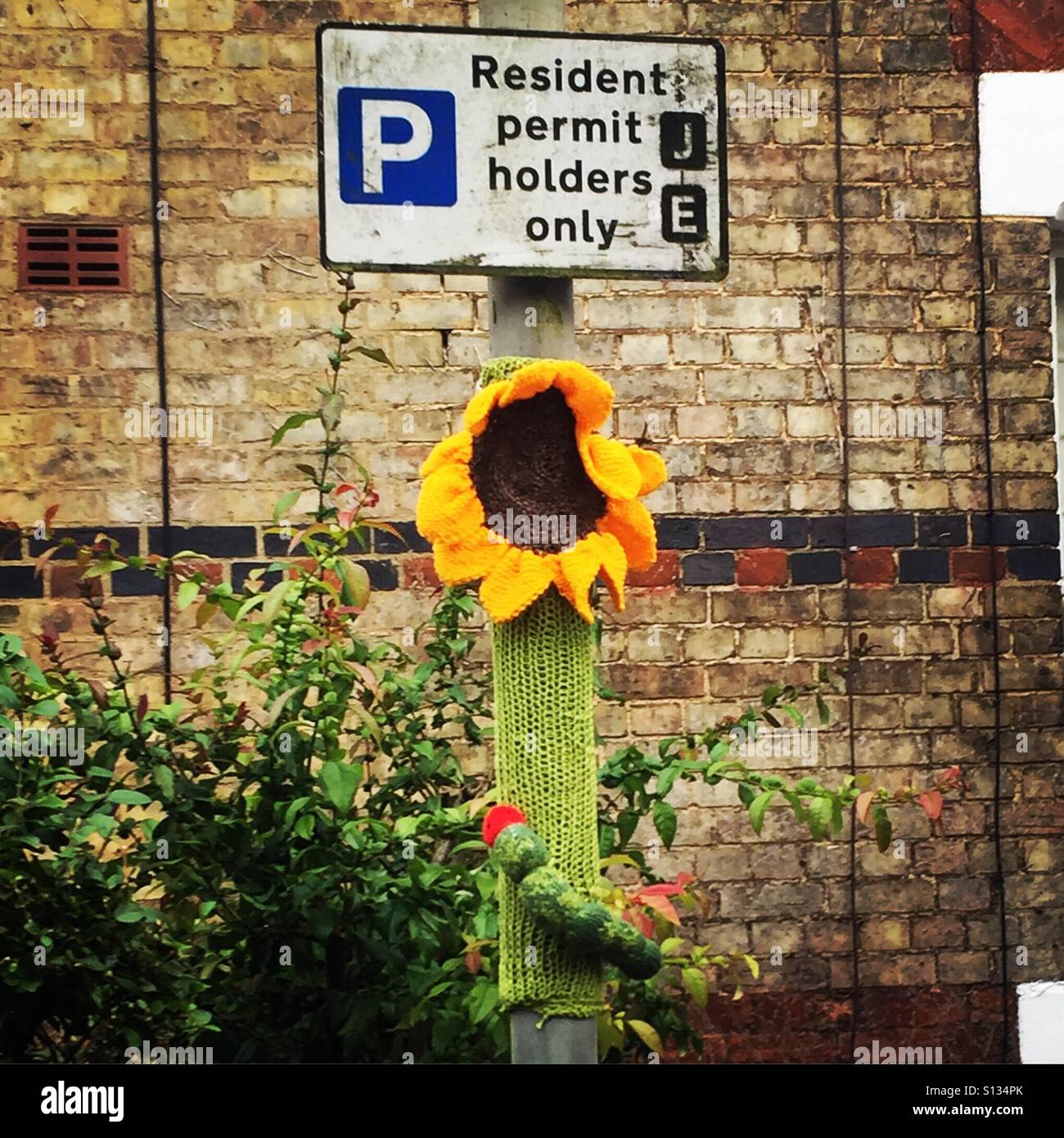 Parking sign in Jericho Oxford with knitted sunflower Stock Photo Alamy