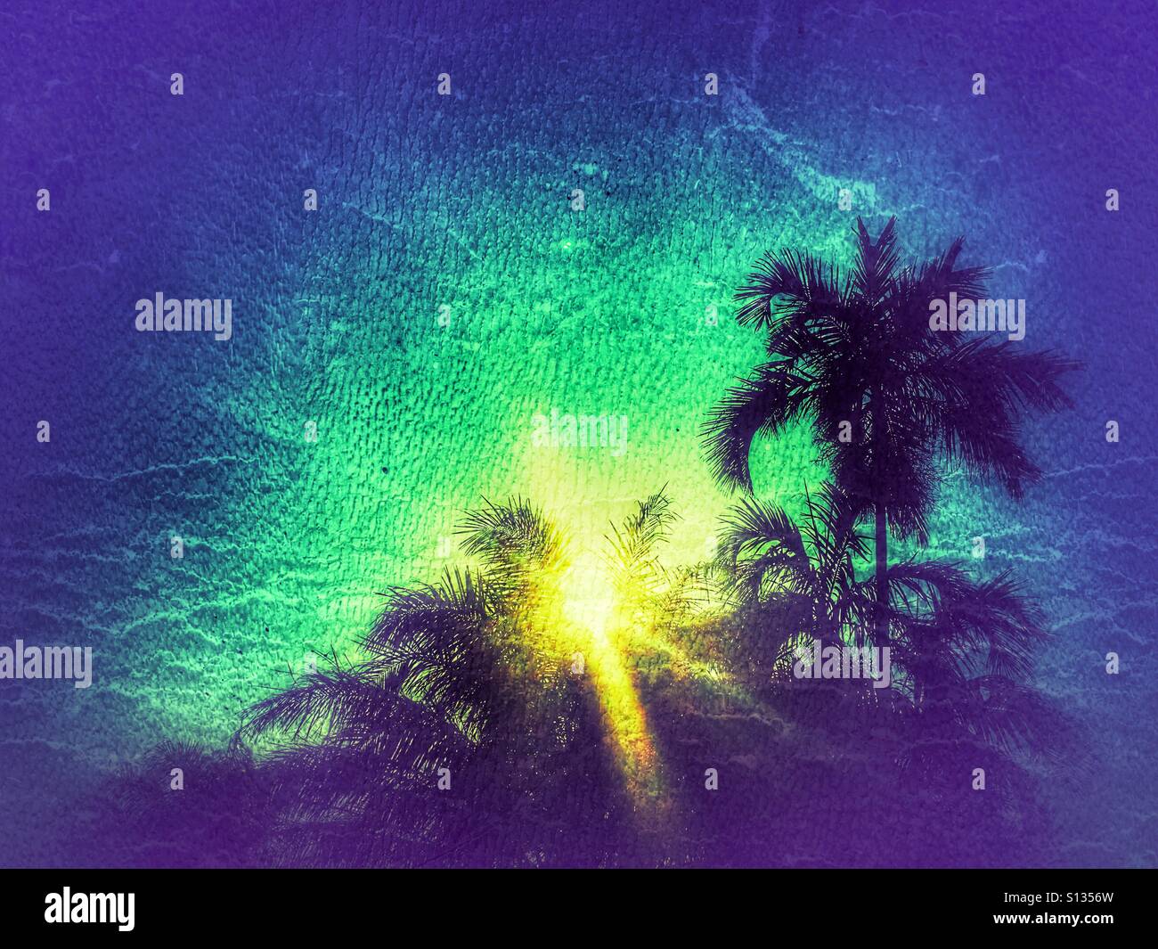 Tropical sunset. - Smartphone Captured Stock Image