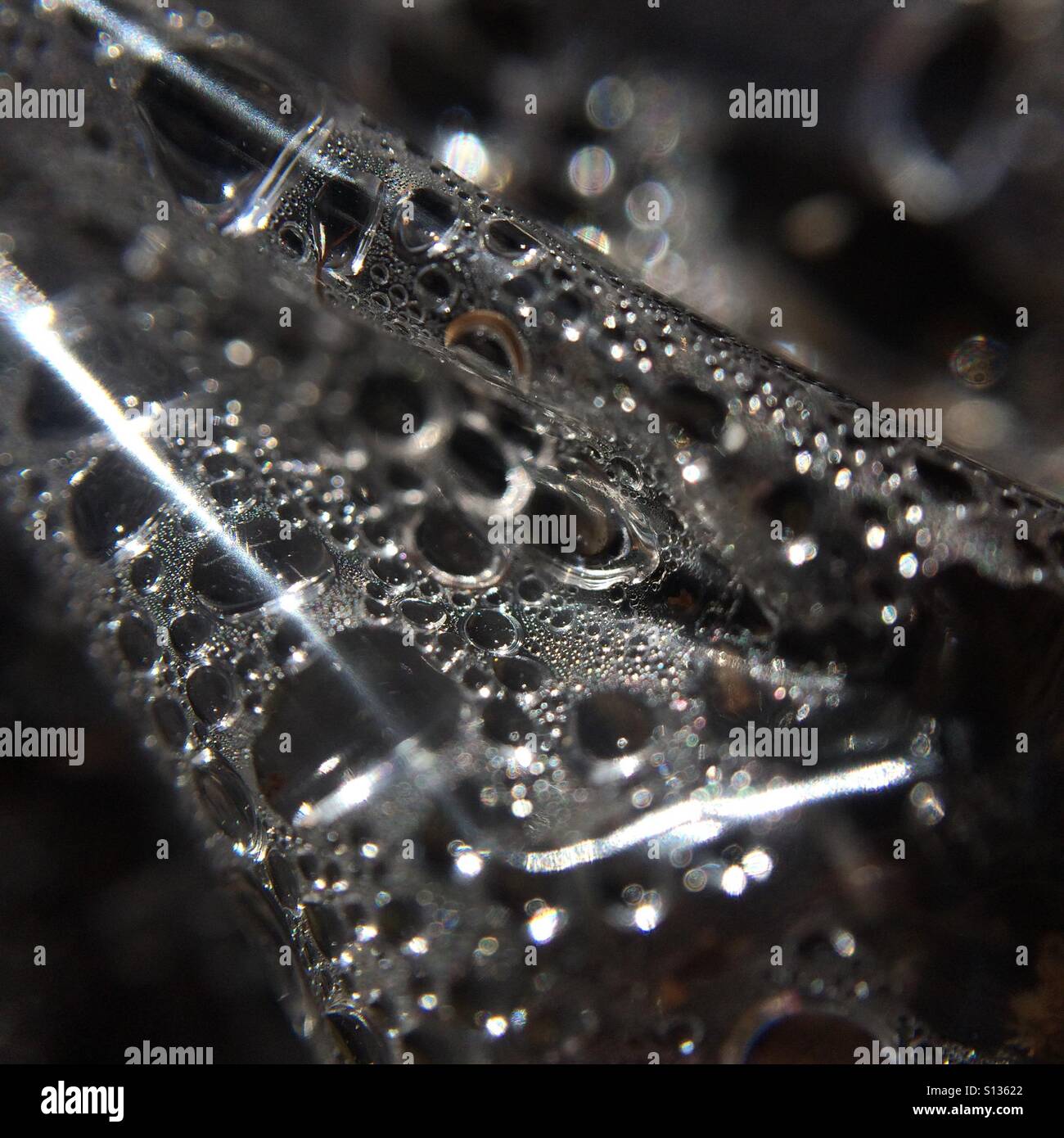After the rain - water drops on leaf - Smartphone Captured Stock Image