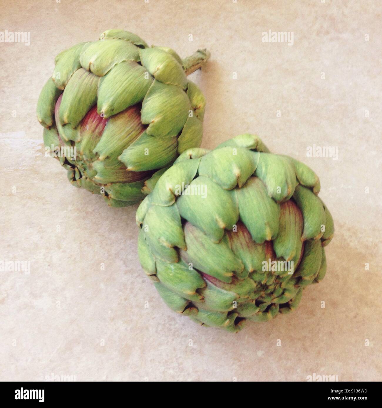 Globe artichokes - Smartphone Captured Stock Image