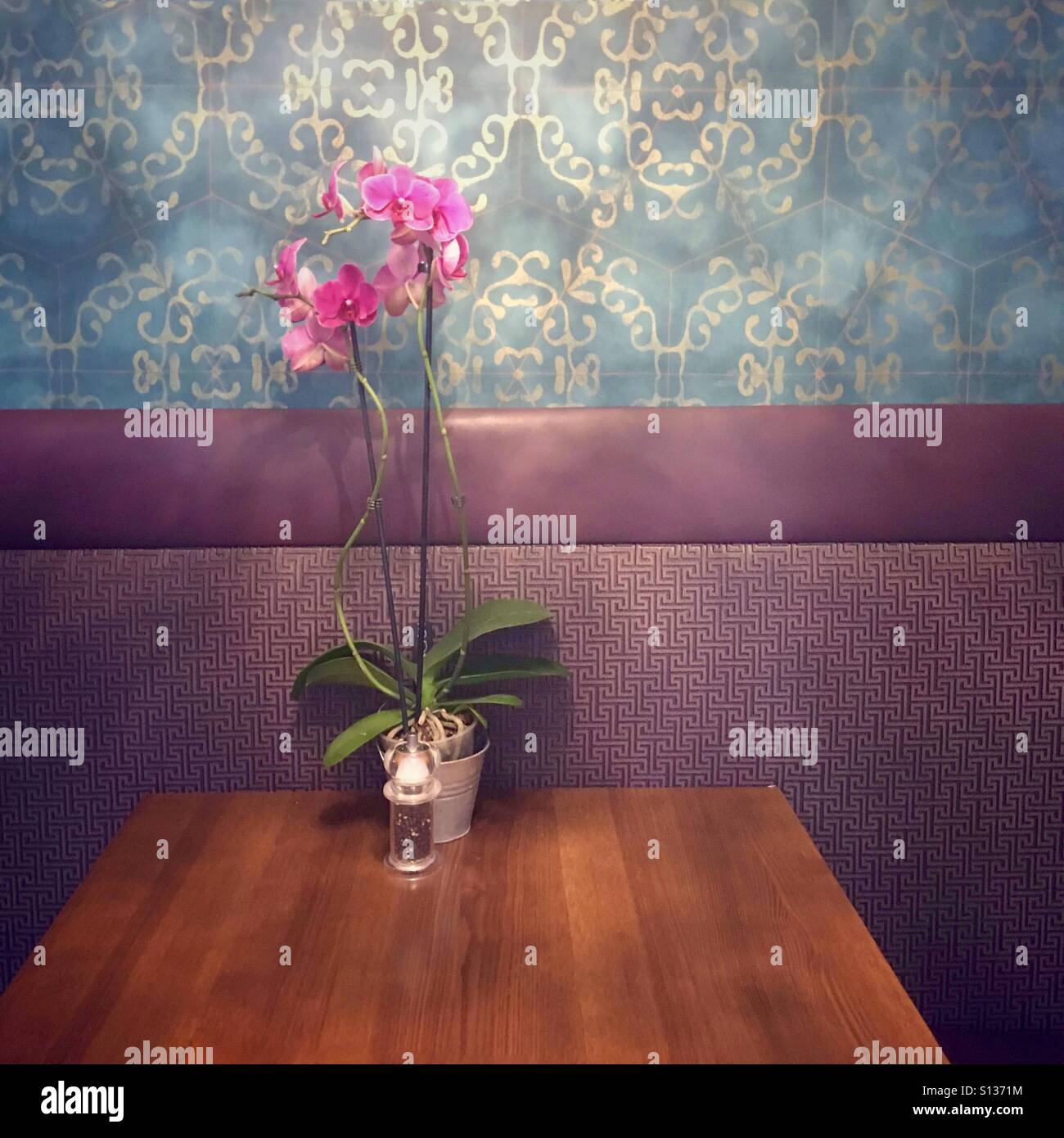Orchids vase table hi-res stock photography and images - Alamy