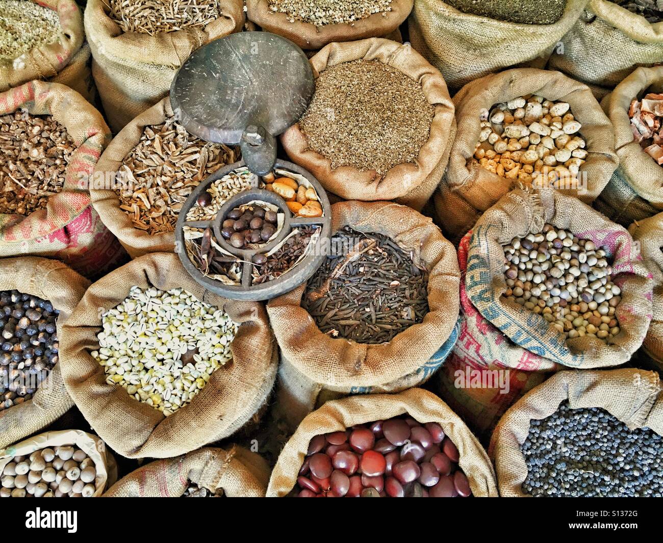 Variety of spices Stock Photo