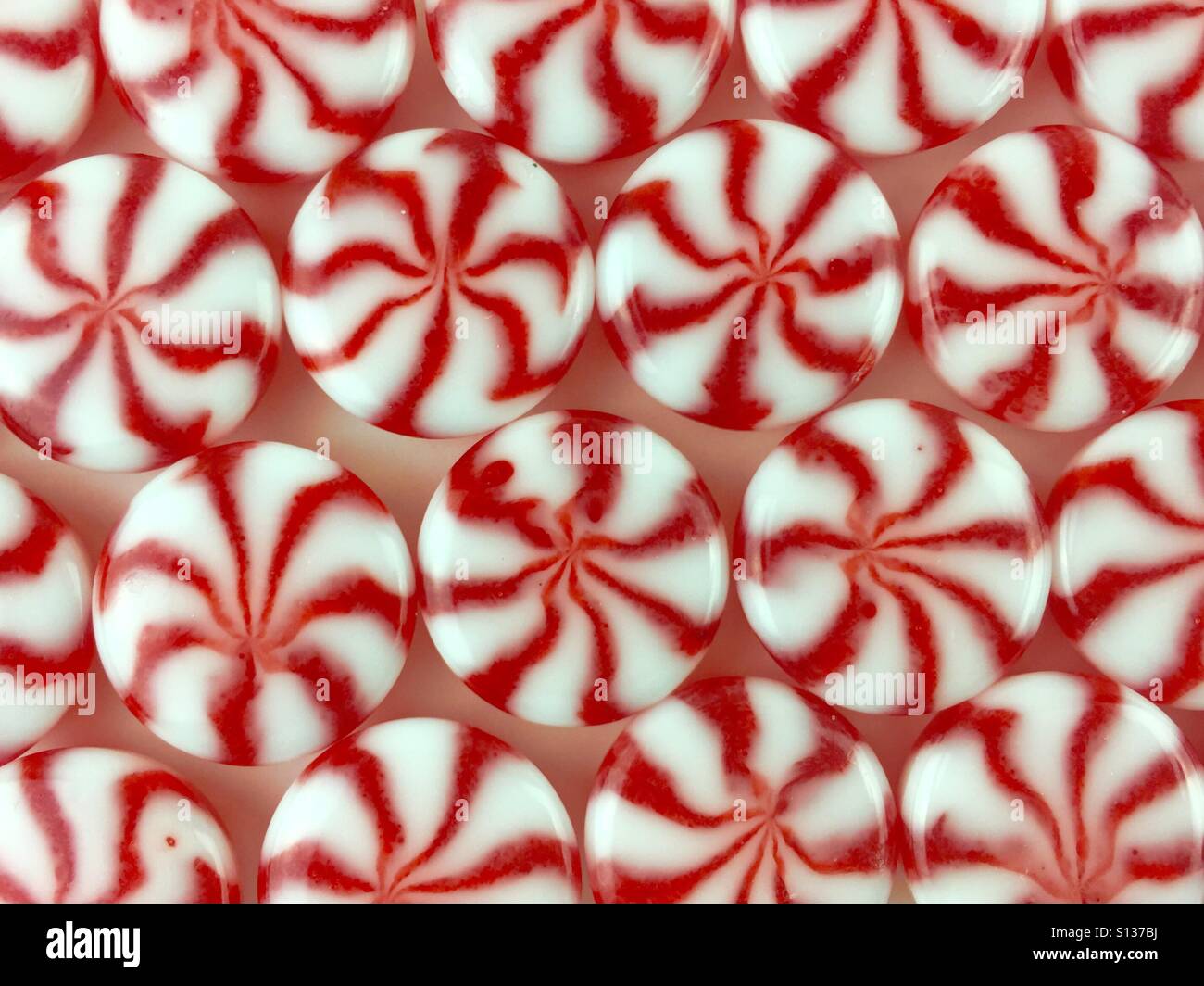 Round red and white peppermint candies, arranged in horizontal rows on a white background - Smartphone Captured Stock Image