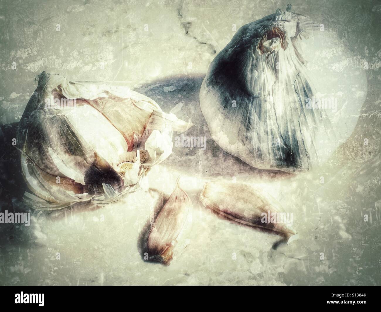 Garlic - Smartphone Captured Stock Image