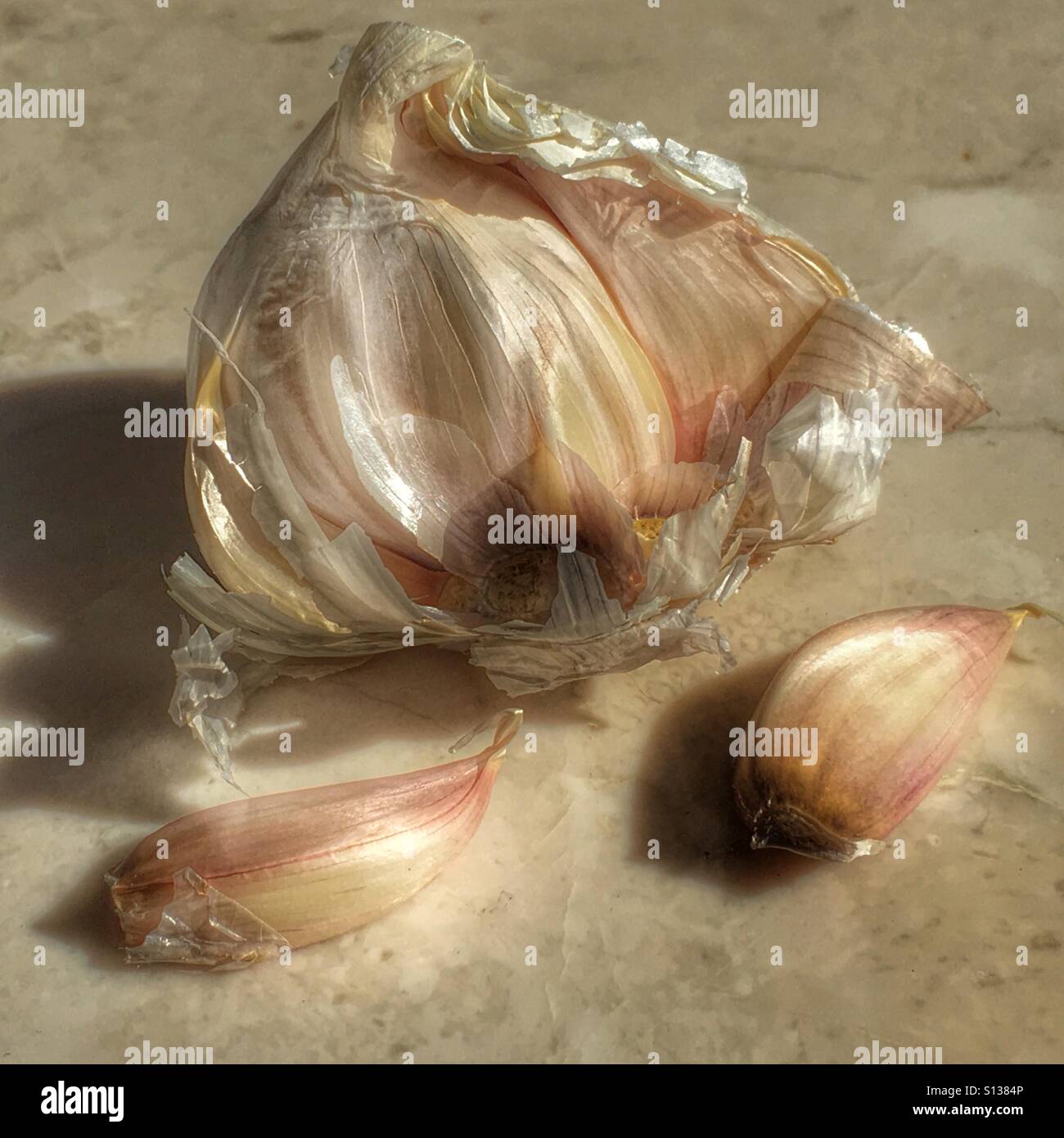 Garlic - Smartphone Captured Stock Image