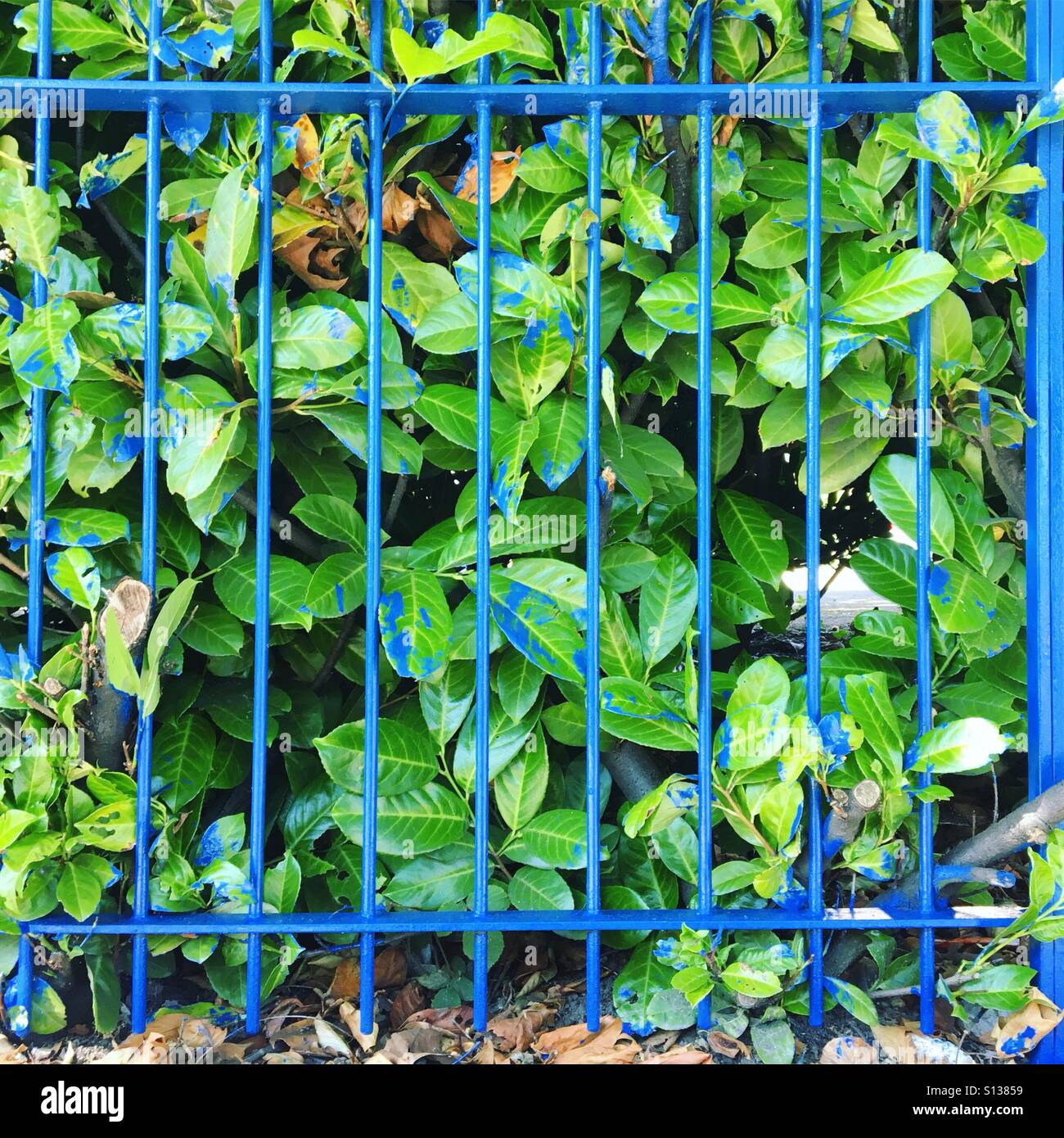 Paint job gone a little awry - Smartphone Captured Stock Image