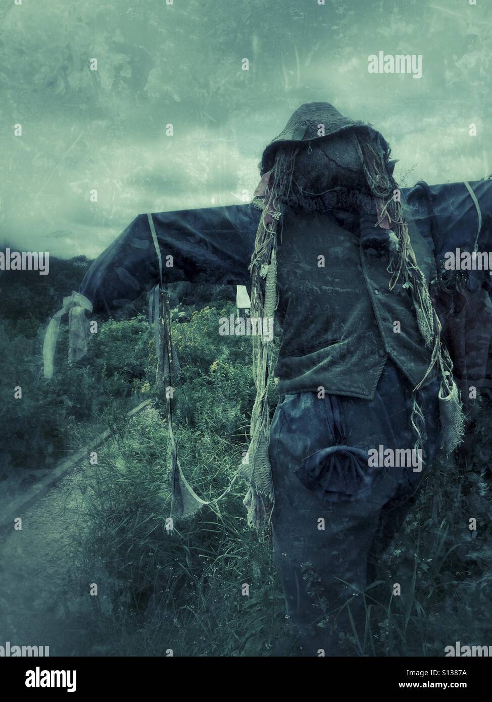 Old fashioned scarecrow in a kitchen garden - Smartphone Captured Stock Image