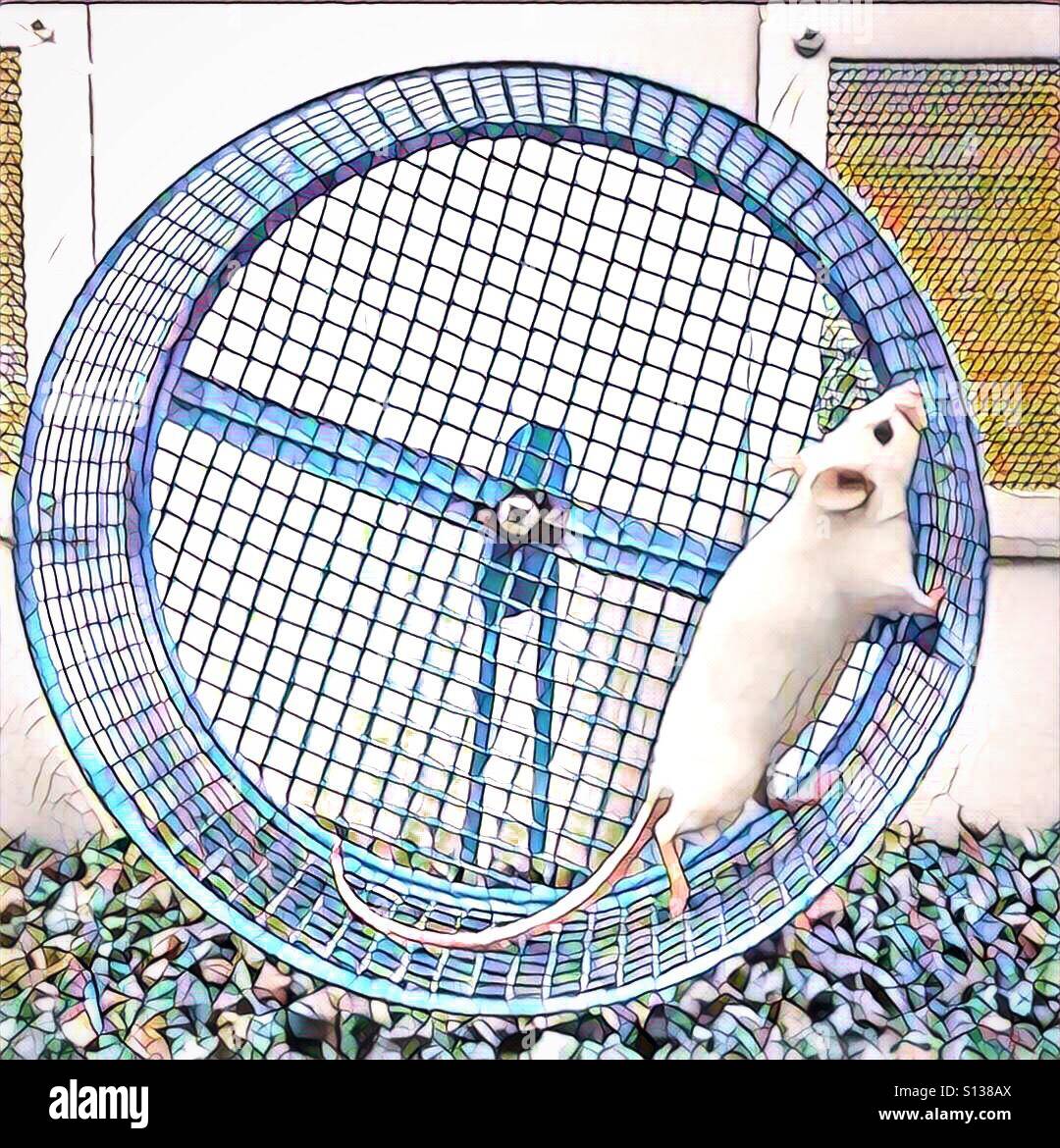 A digital art image of a white rat running in a wheel Stock Photo