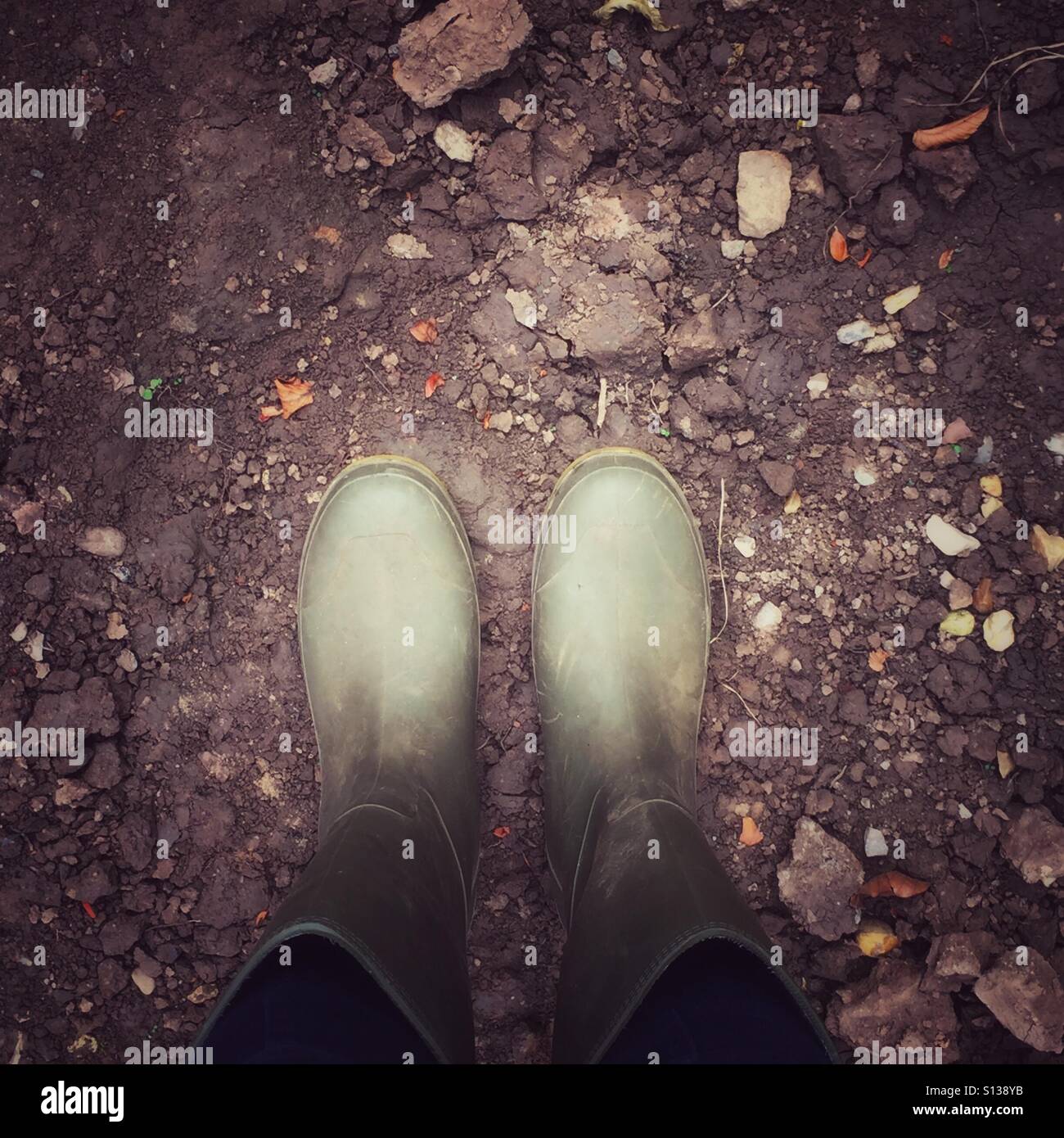 green wellington boots womens