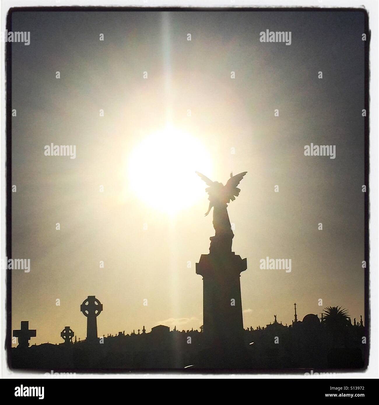 Angel statue in the sunlight Stock Photo - Alamy