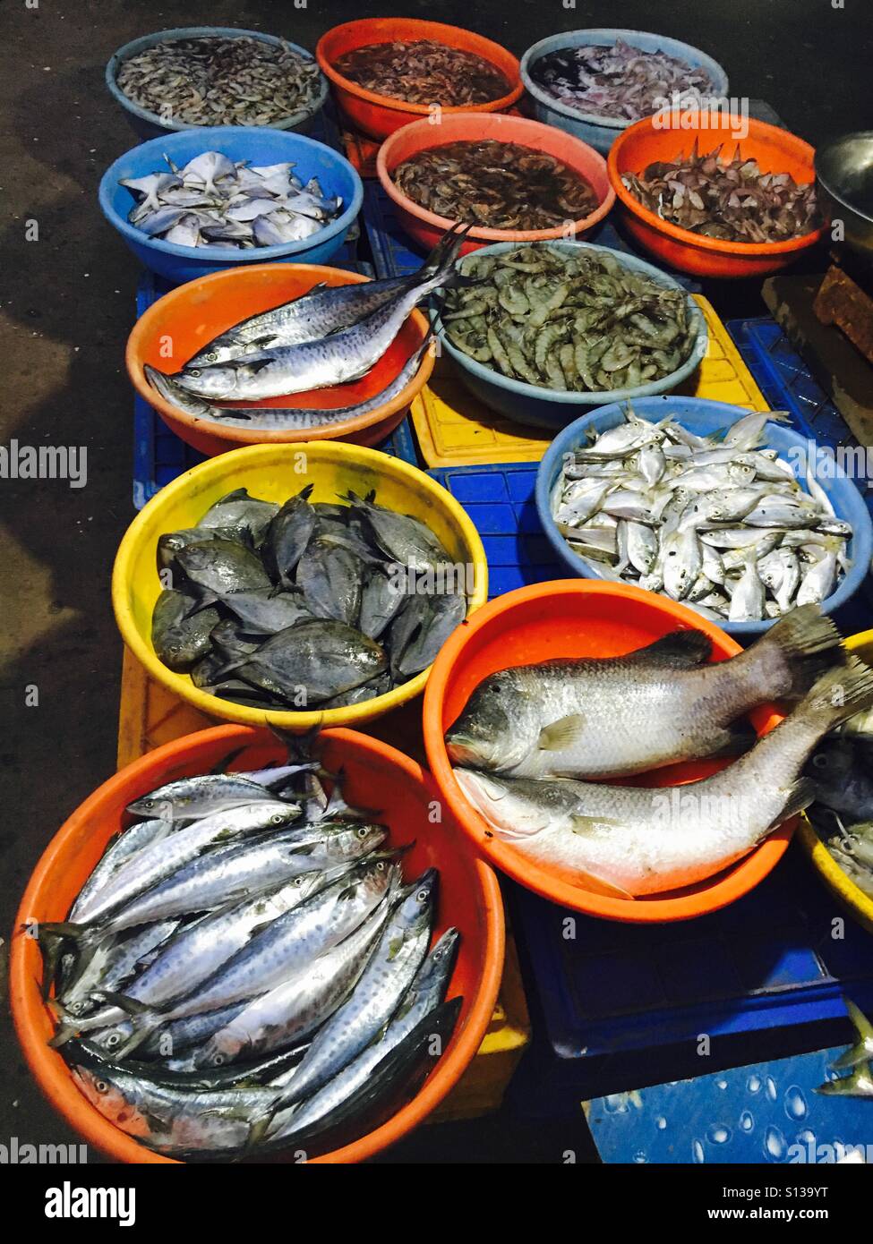 Fish market in goa hi-res stock photography and images - Alamy