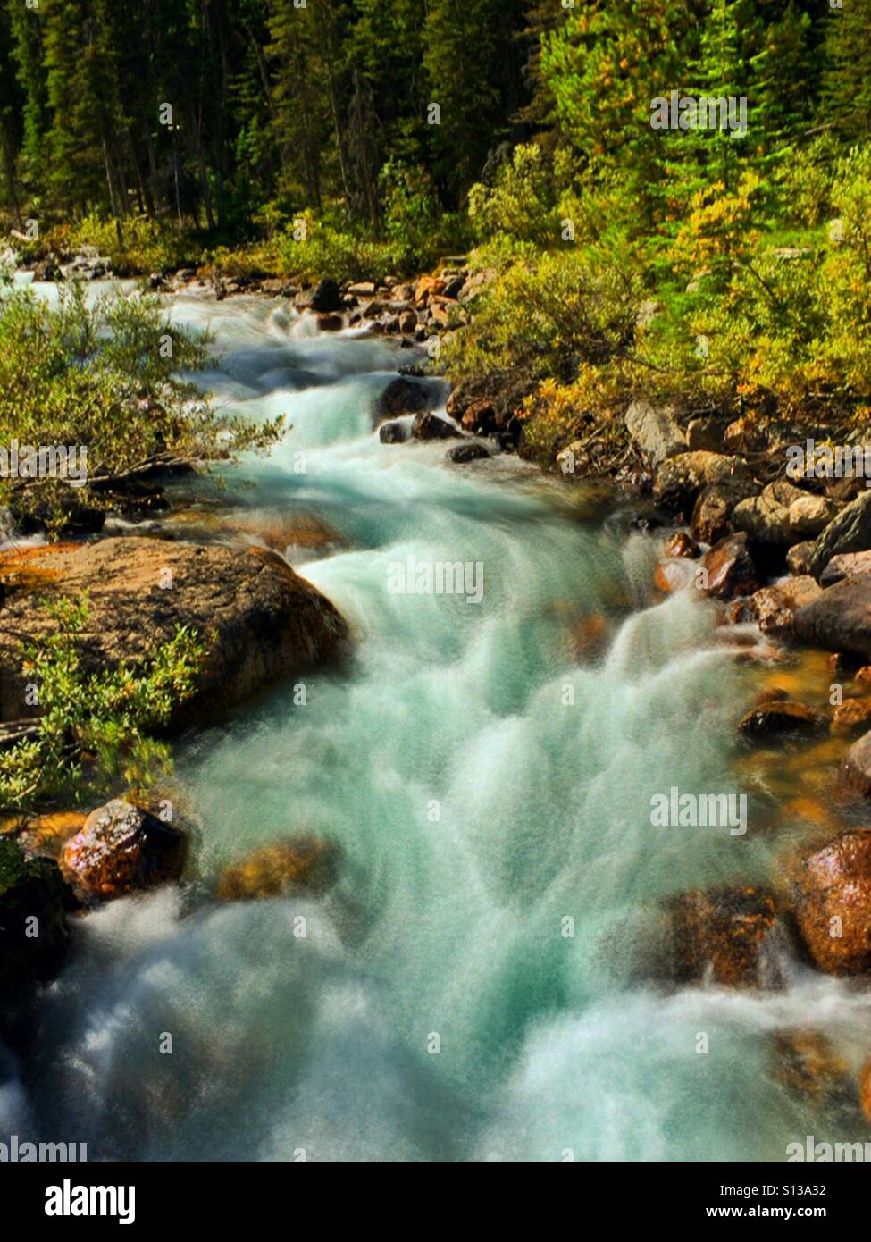 Mountain creek near Lake Louise in Banff Park, Alberta, Canada - Smartphone Captured Stock Image