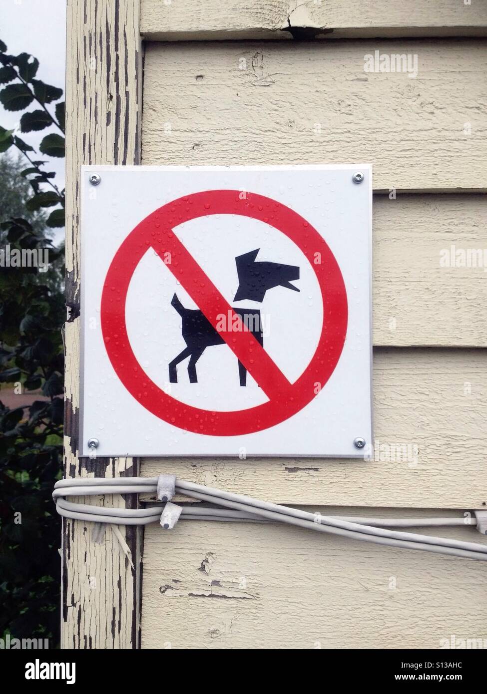No dogs allowed - Smartphone Captured Stock Image