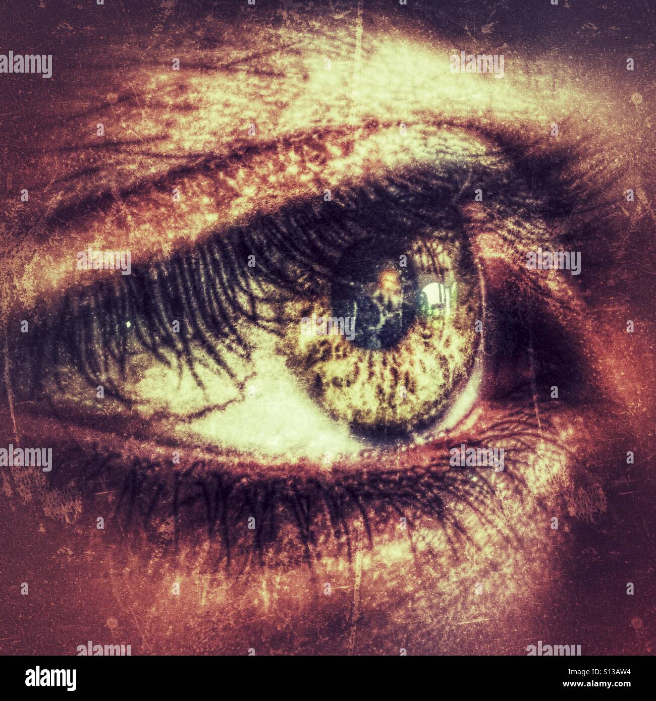 Eye - Smartphone Captured Stock Image