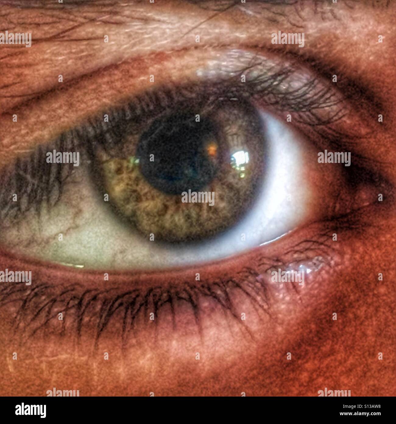 Eye - Smartphone Captured Stock Image