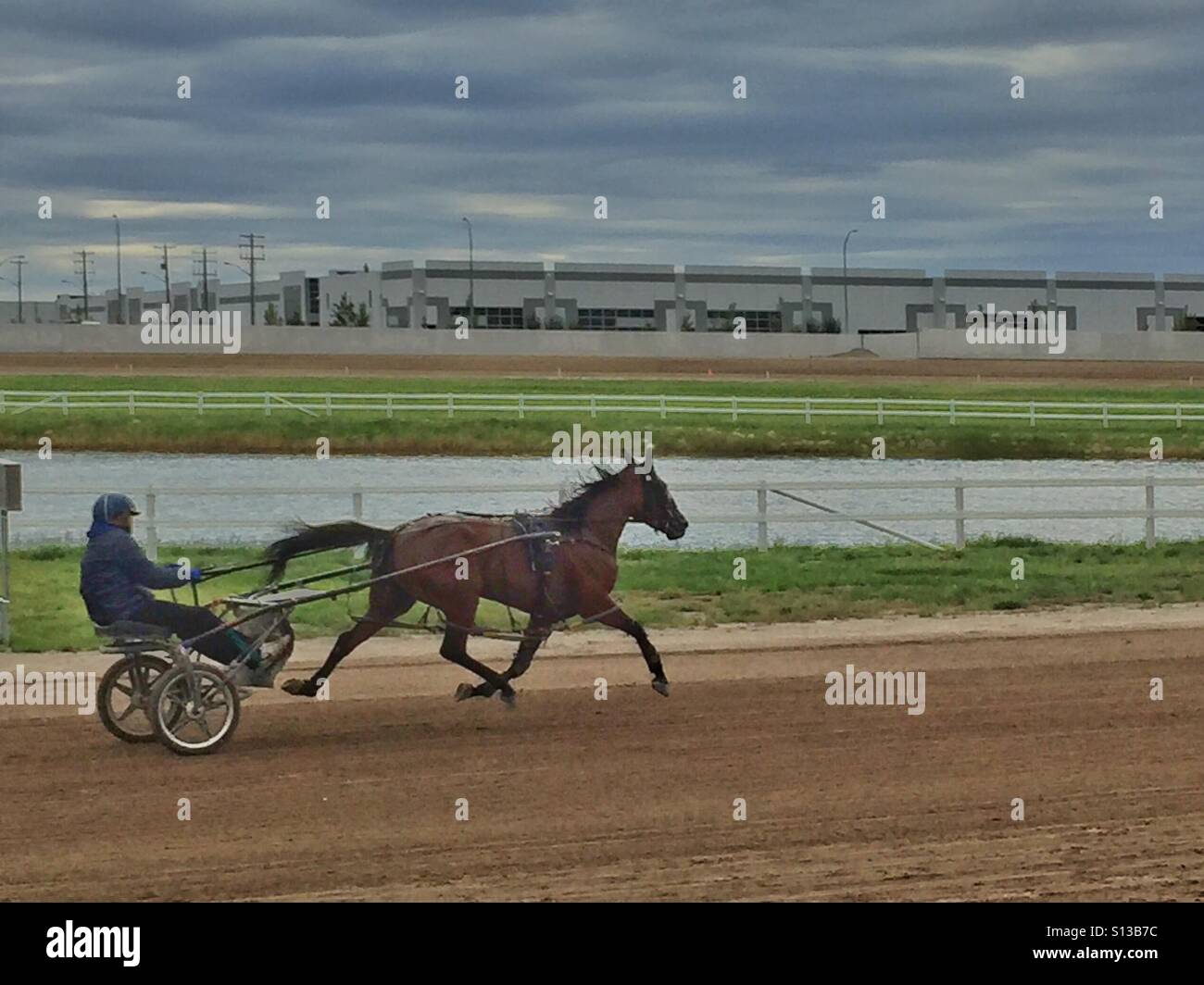 Harness racing - Smartphone Captured Stock Image