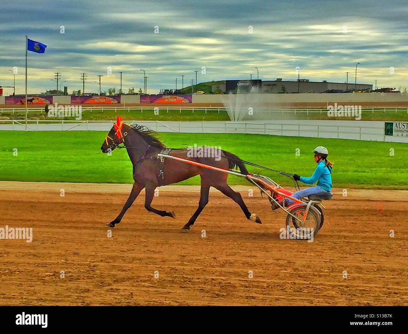 Harness racing - Smartphone Captured Stock Image
