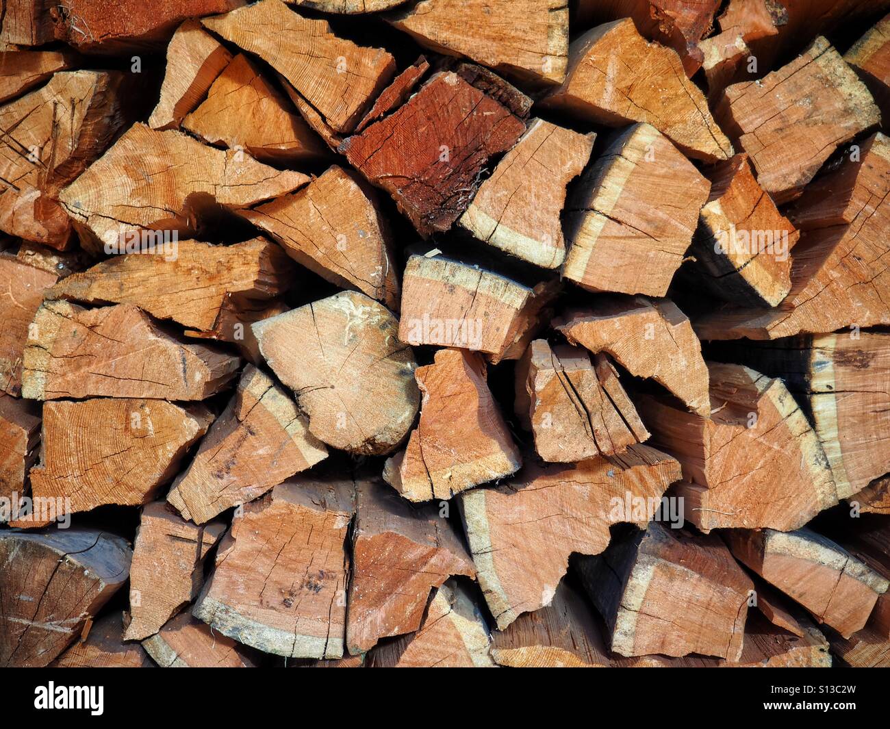 Cut and dried. Stock Photo