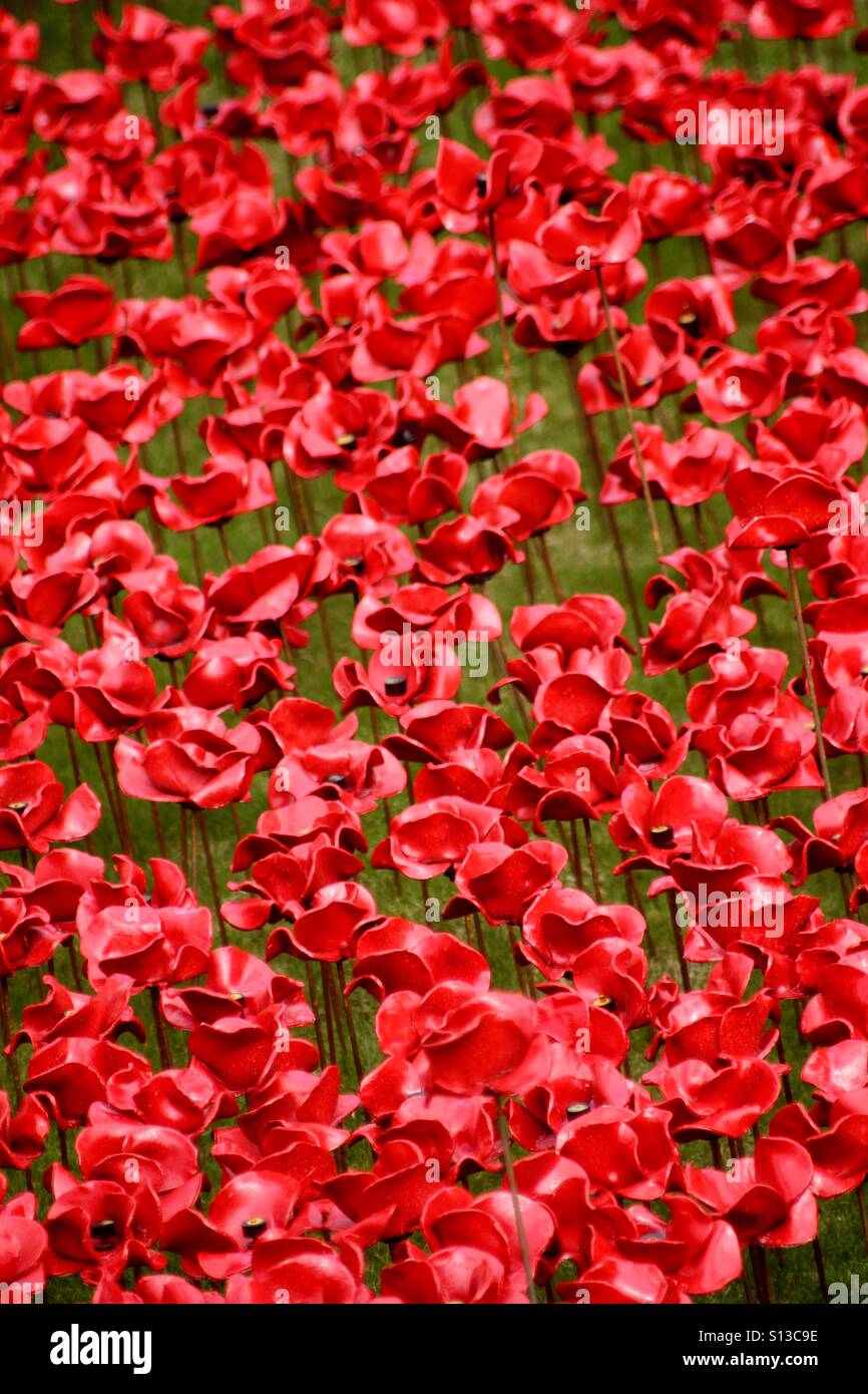 Poppy abstract hi-res stock photography and images - Alamy