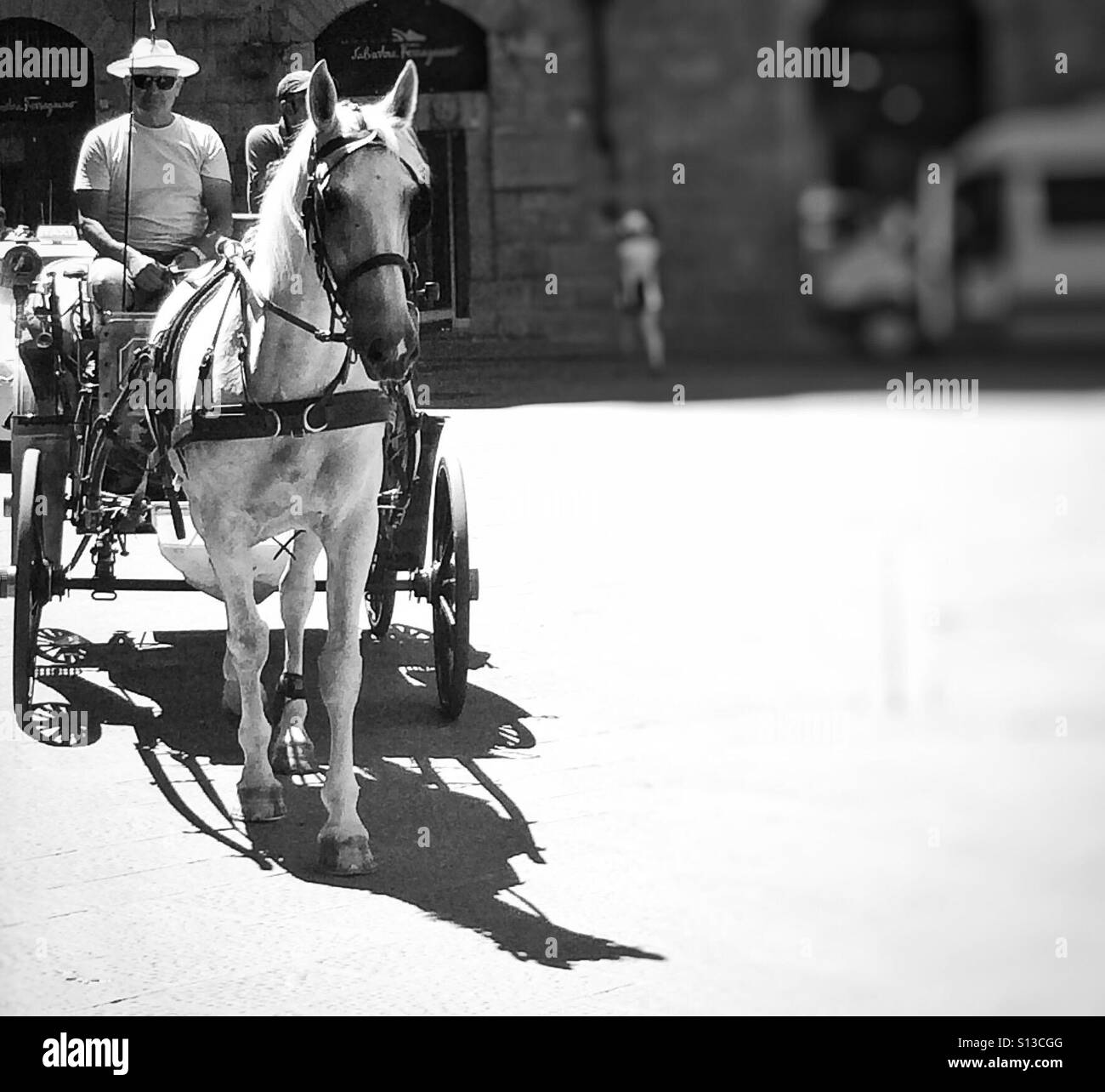 Tourists in horse drawn carriage - Smartphone Captured Stock Image