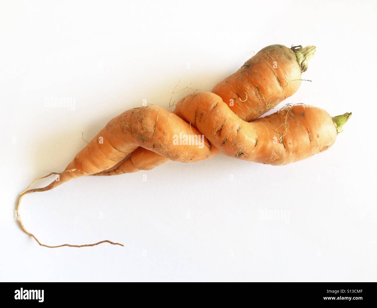 Carrot love - Smartphone Captured Stock Image