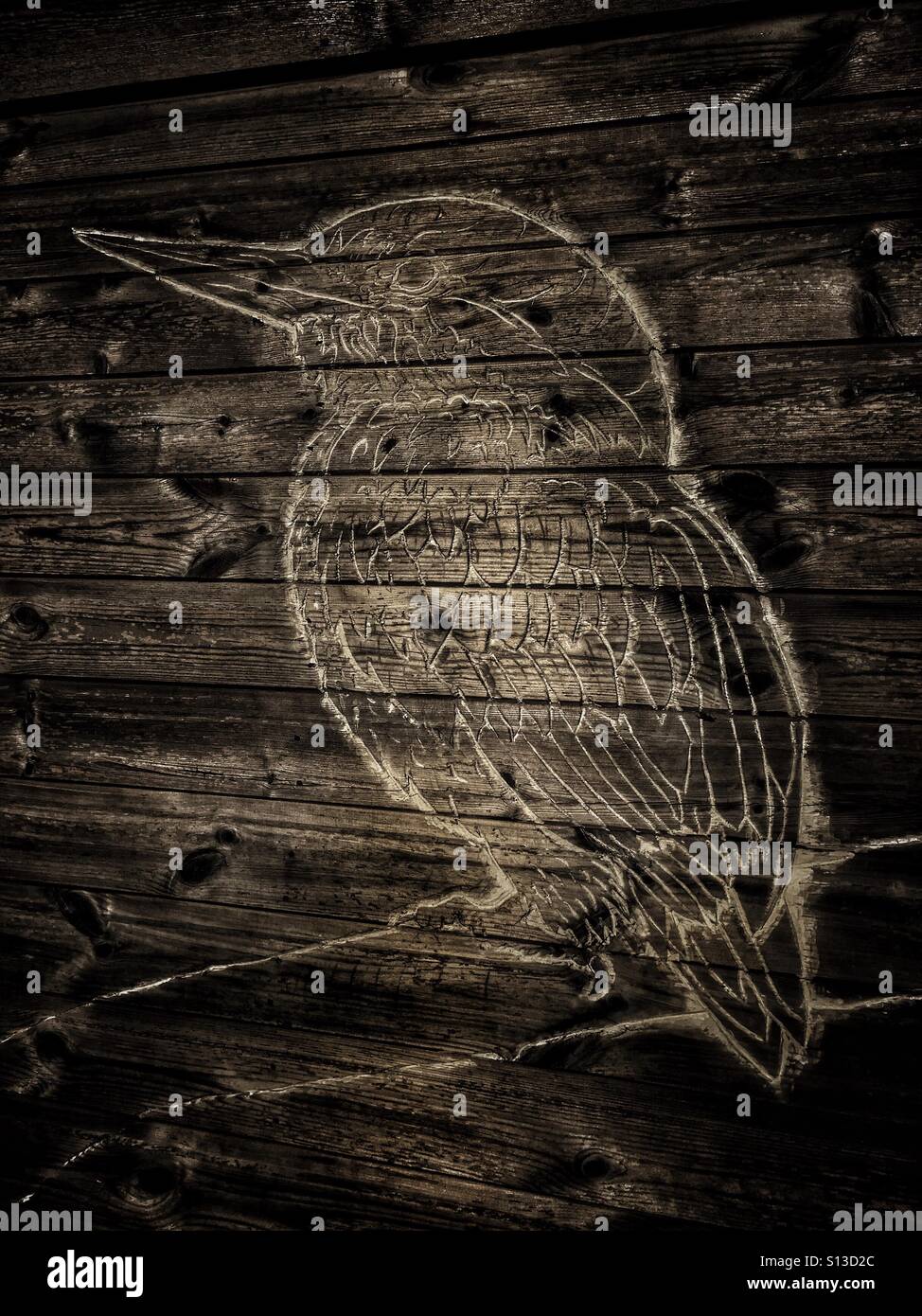 Kingfisher sitting on a branch carved on wooden planks. - Smartphone Captured Stock Image