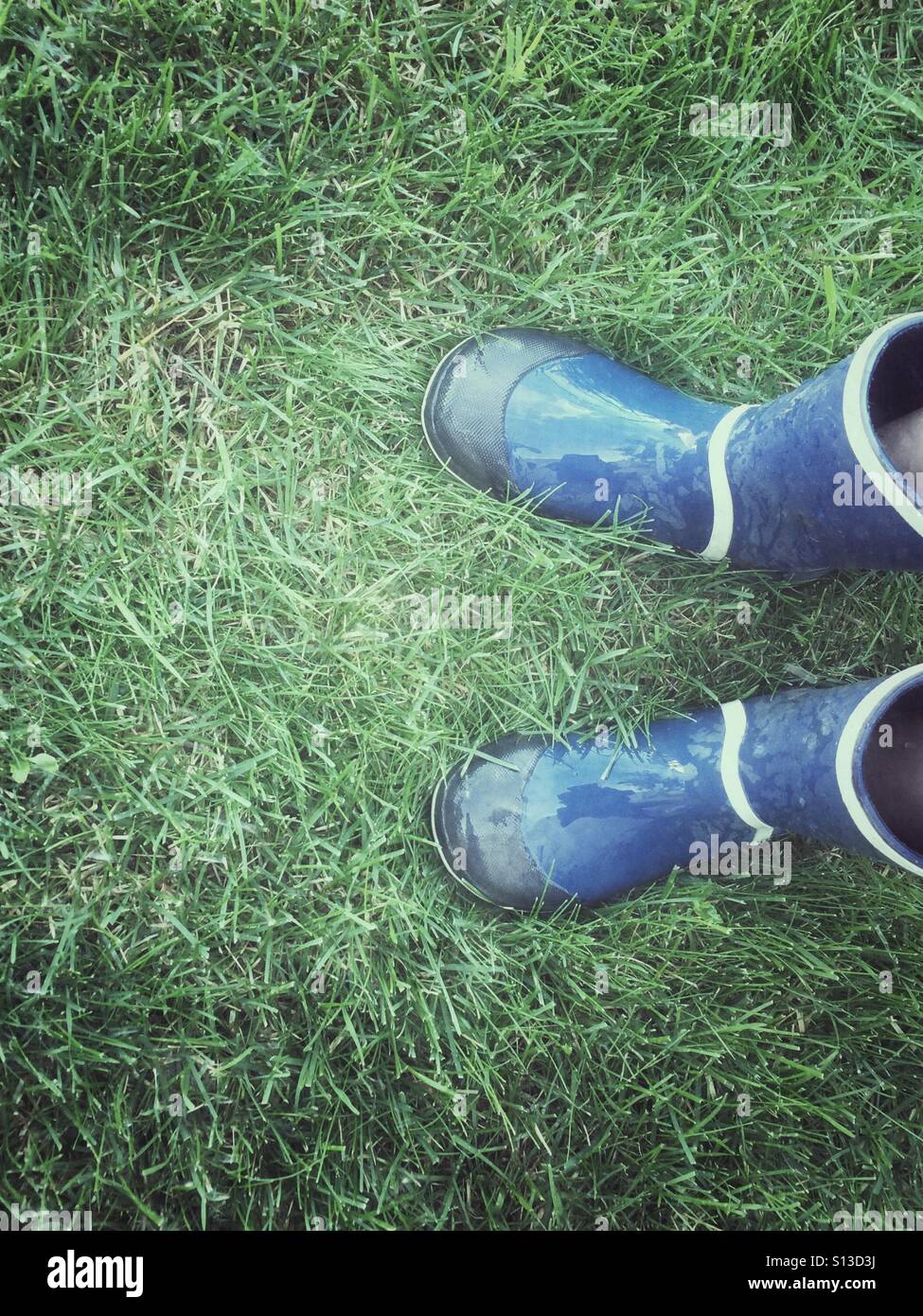 Blue boots on wet grass. Stock Photo