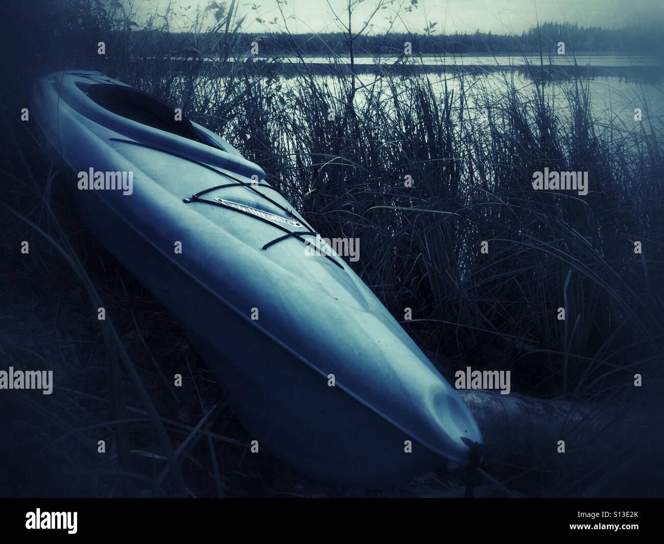 A kayak sits unused in the grass on the shore of a forested lake. - Smartphone Captured Stock Image