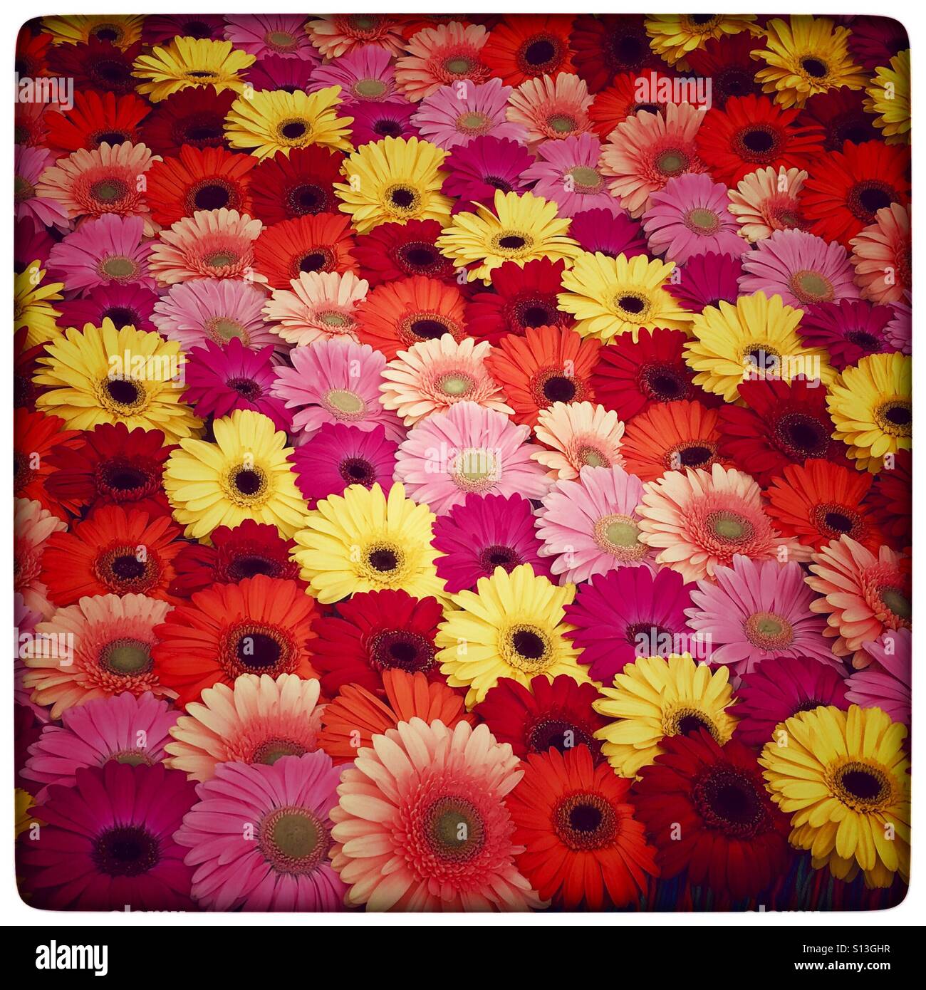 Pink orange red colours hi-res stock photography and images - Alamy