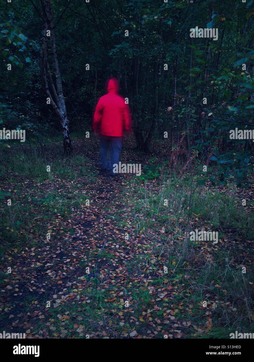 Unrecognisable male hiker wearing red rain jacket walking into a dark forest Stock Photo