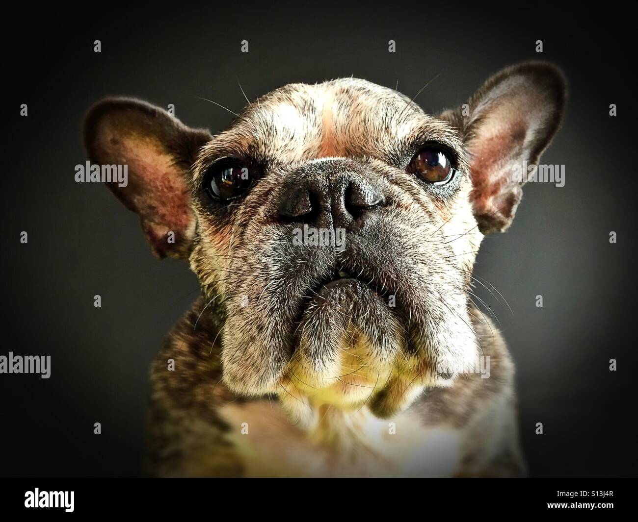 Old face close up hi-res stock photography and images - Alamy