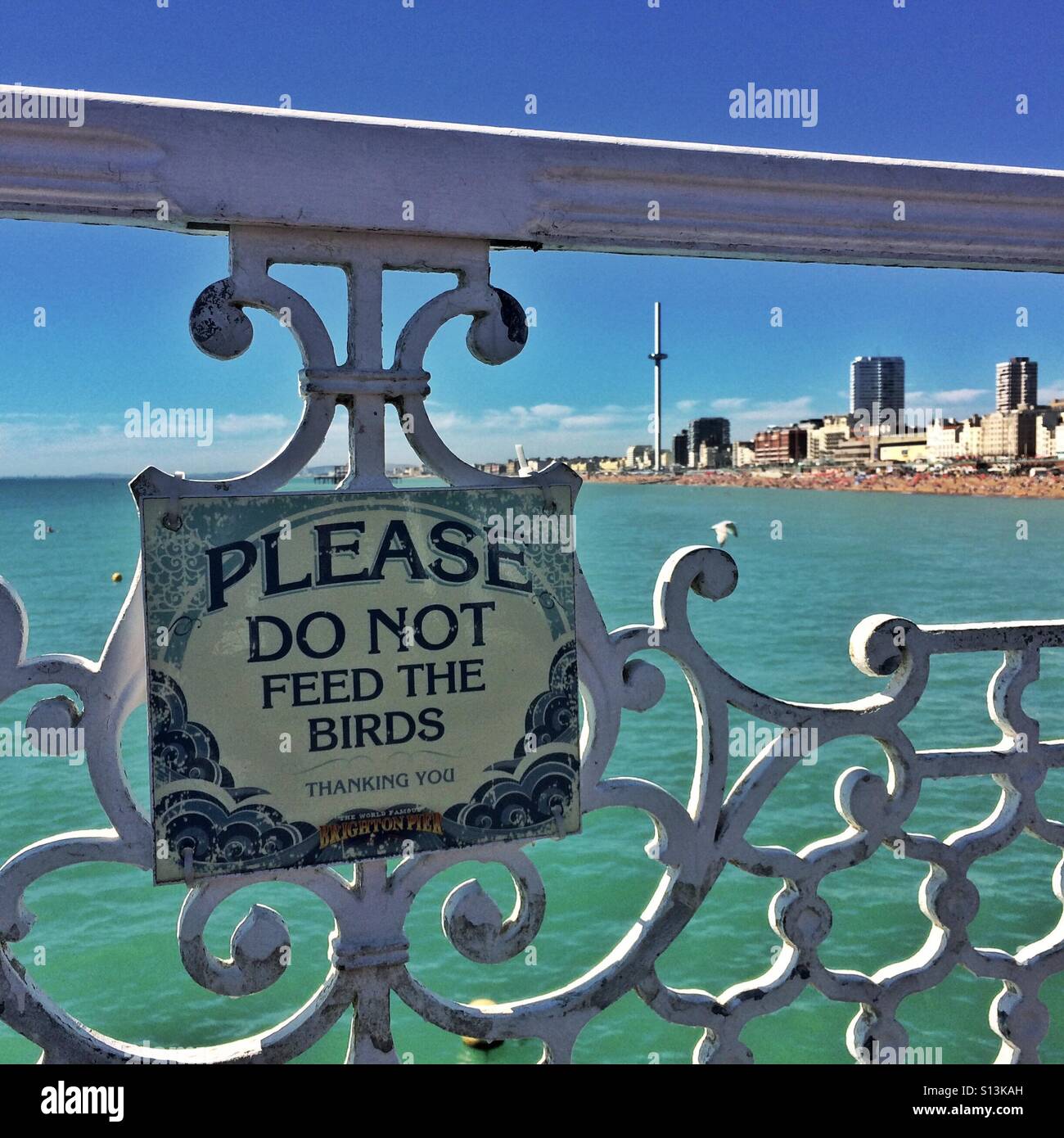 Please Do Not Feed The Birds - Brighton Pier and seafront looking towards the i360 viewing tower. England UK Stock Photo