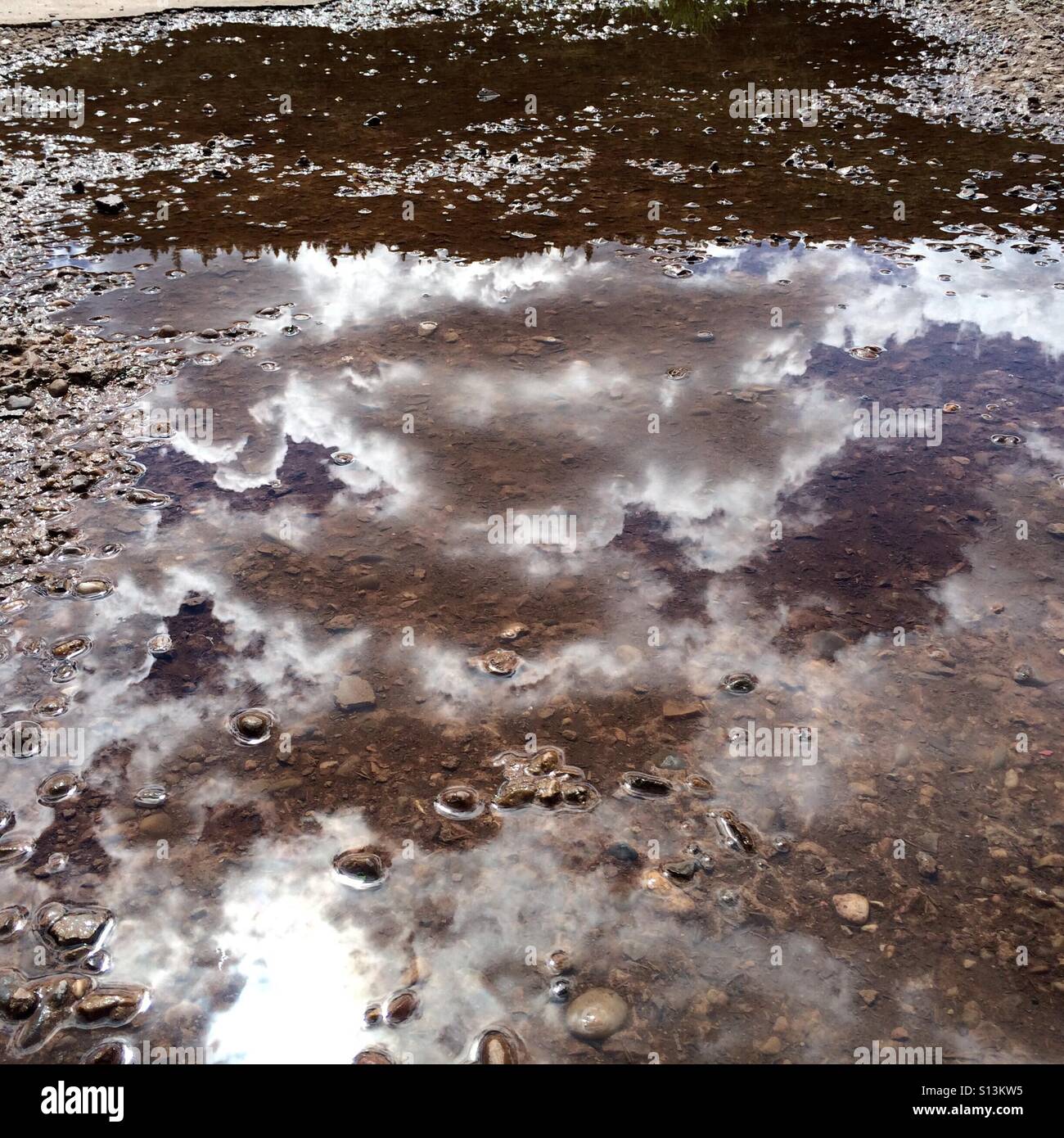 Clouds reflect in a rain puddle. Stock Photo