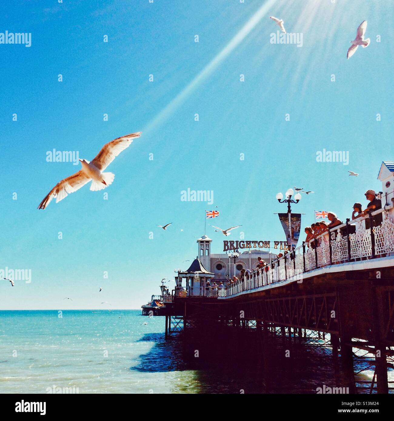 Brighton Pier and seagulls - Smartphone Captured Stock Image