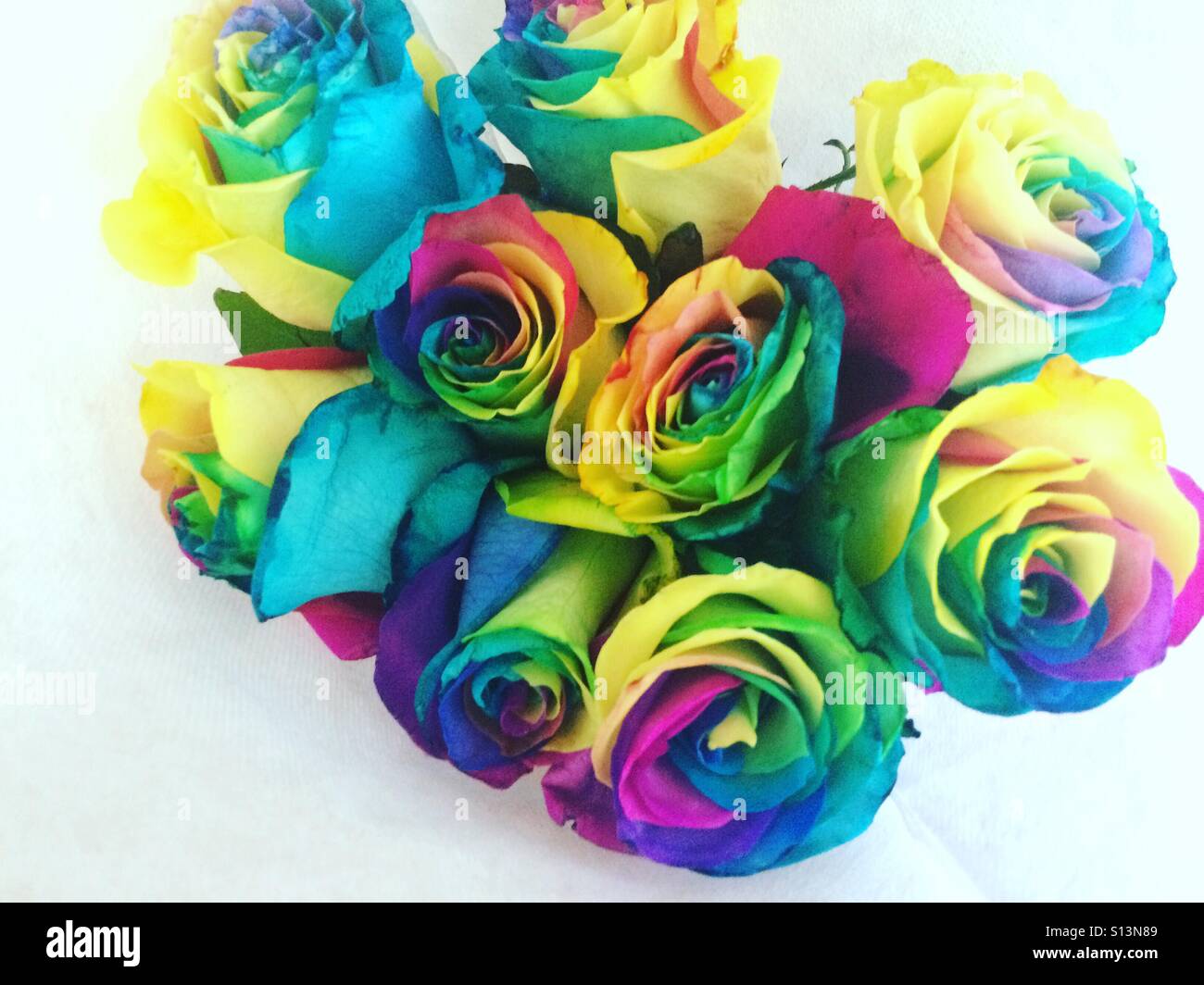 Rainbow flowers hires stock photography and images Alamy