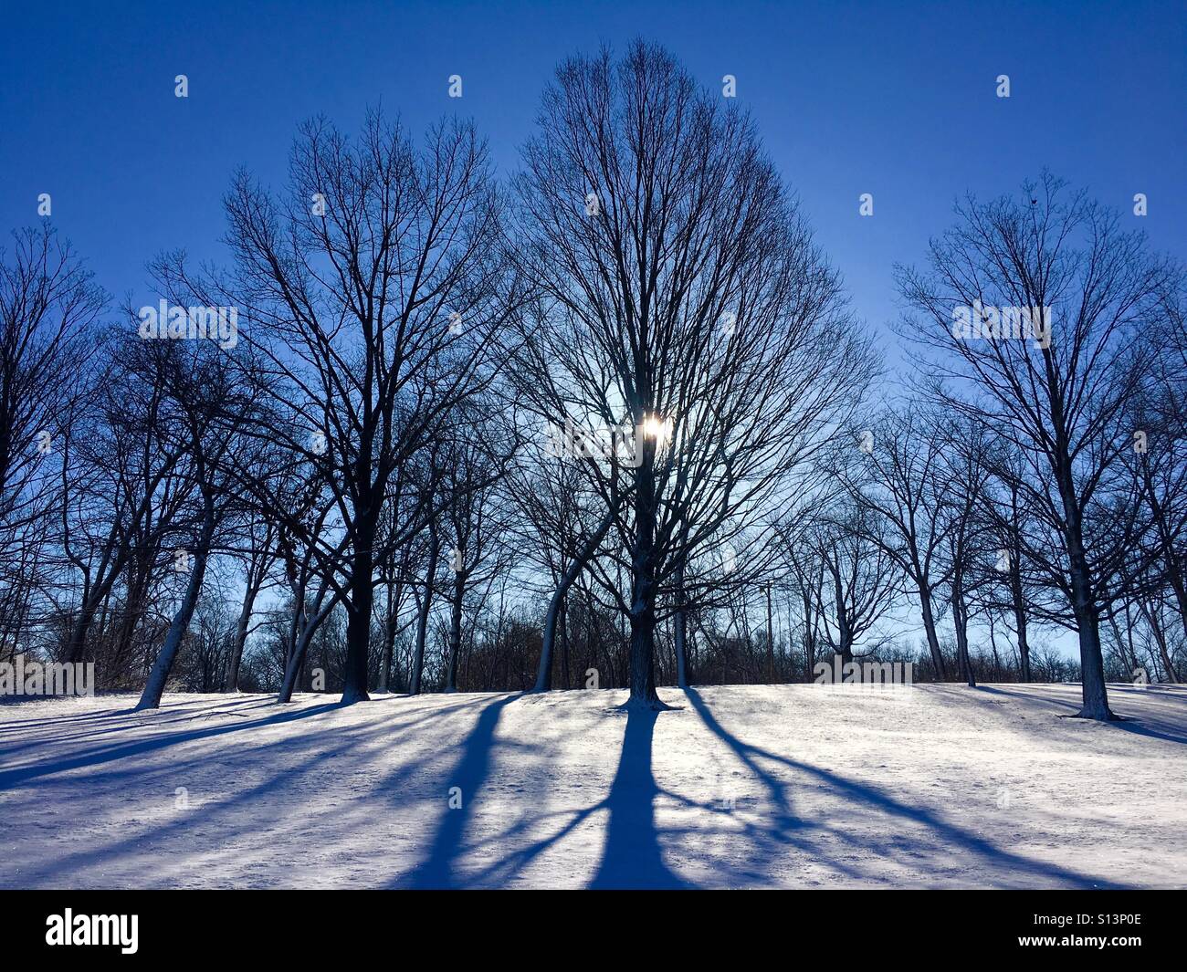 Chilly Winter Morning Stock Photo Alamy