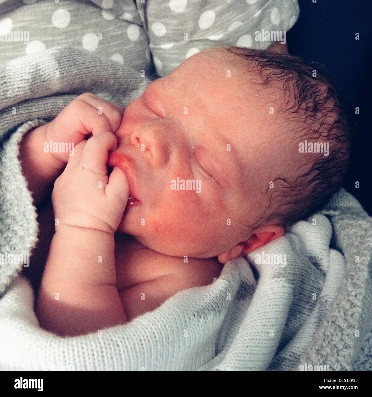 Newborn baby boy wrapped in blankets Stock Photo
