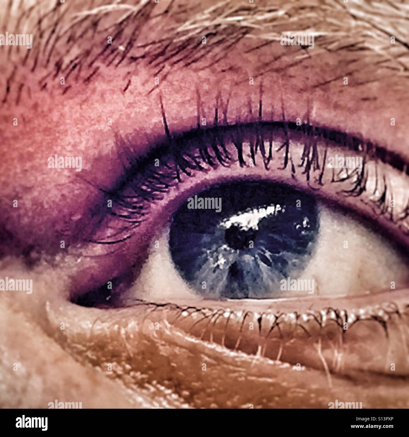 Eye Stock Photo Alamy