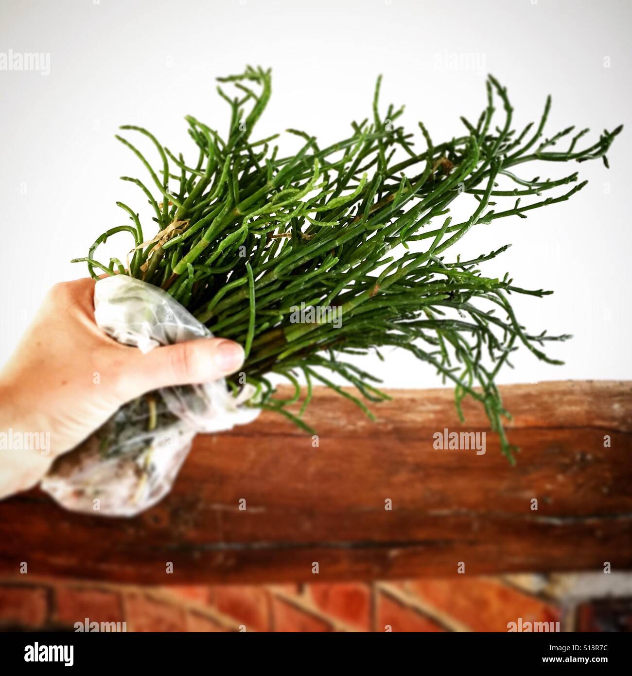 A bunch of samphire. Mobile phone photo with some phone or tablet post processing. - Smartphone Captured Stock Image