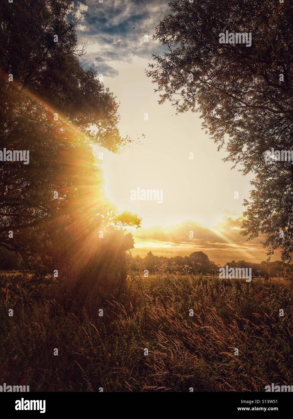 Looking through trees to sunrise Stock Photo Alamy