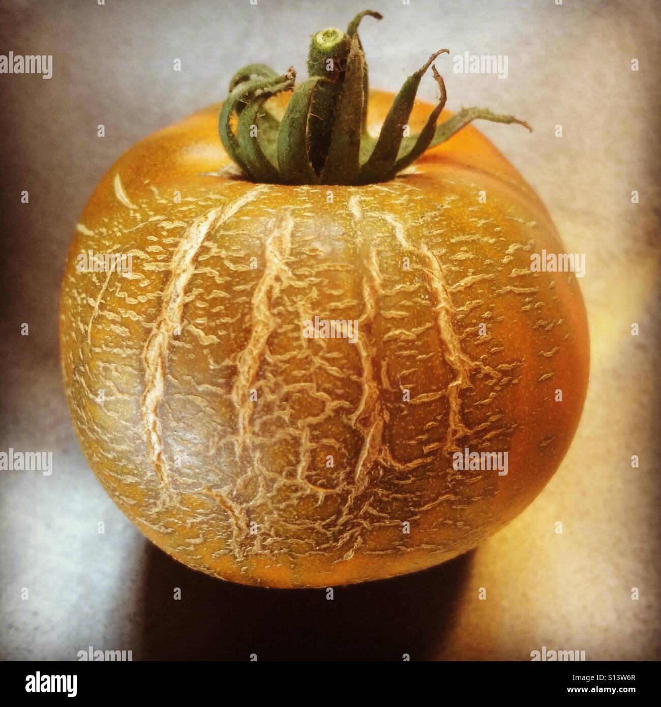 Brown Derby Heirloom Tomato, with stretch marks on skin Stock Photo Alamy