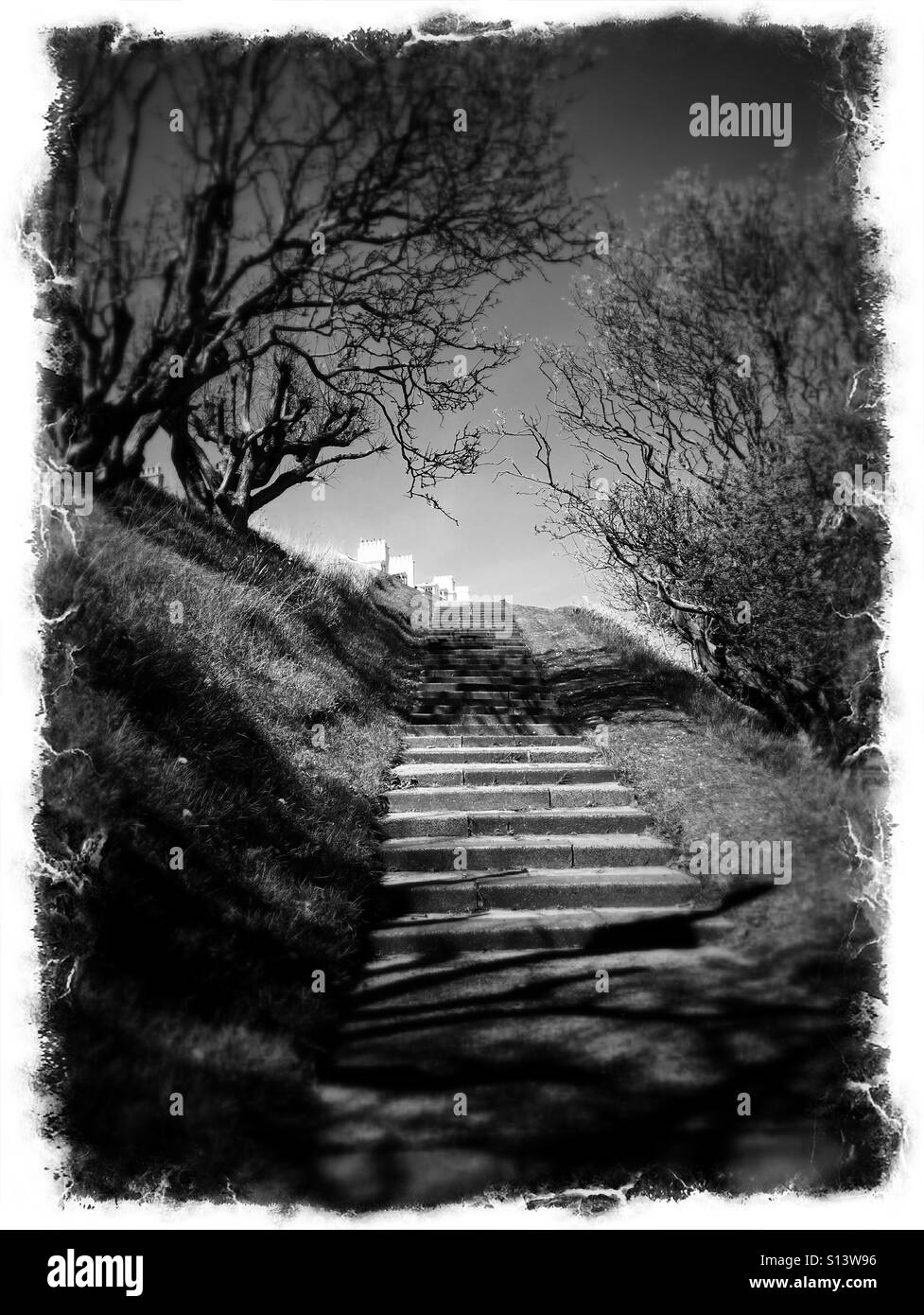 Dark steps through overhanging trees - Smartphone Captured Stock Image