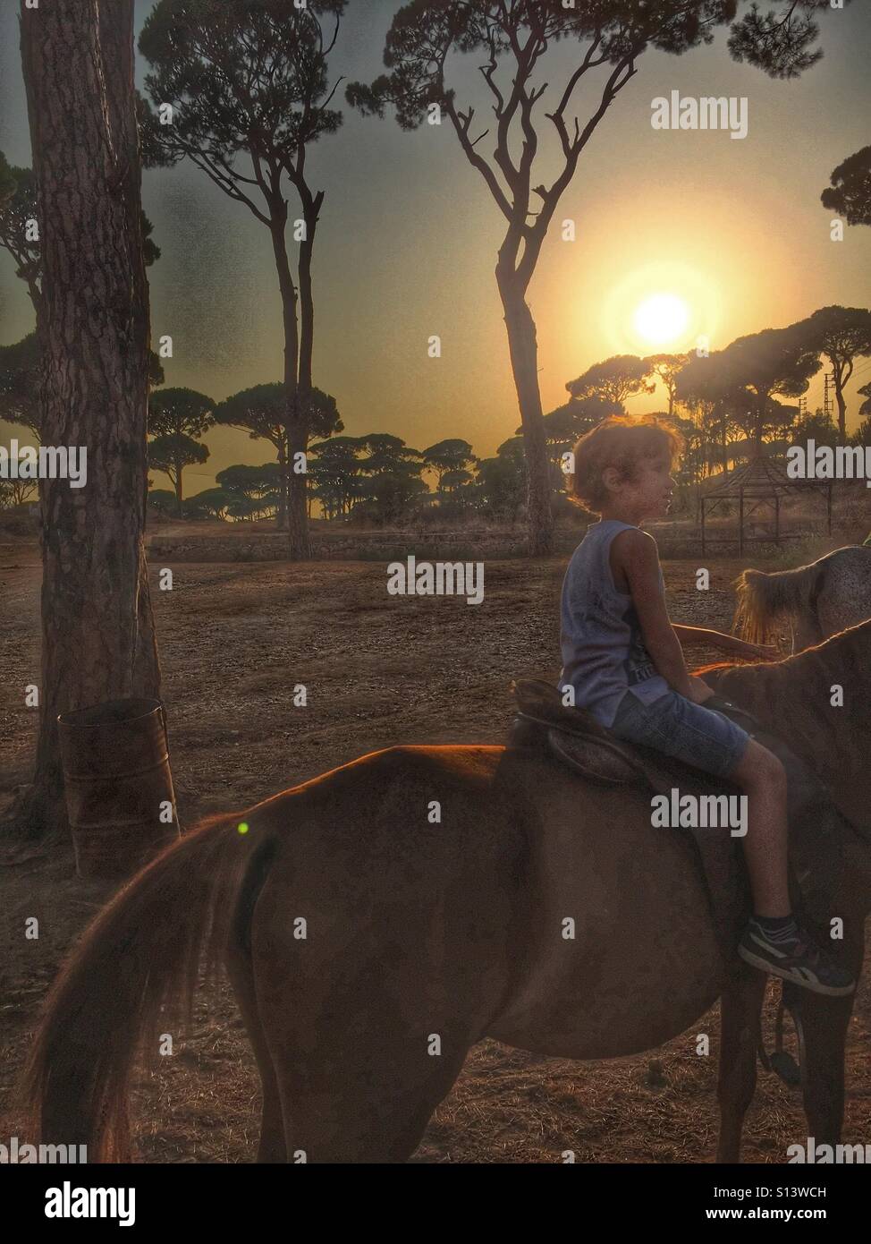 Boy kid riding a horse at sunset - Smartphone Captured Stock Image