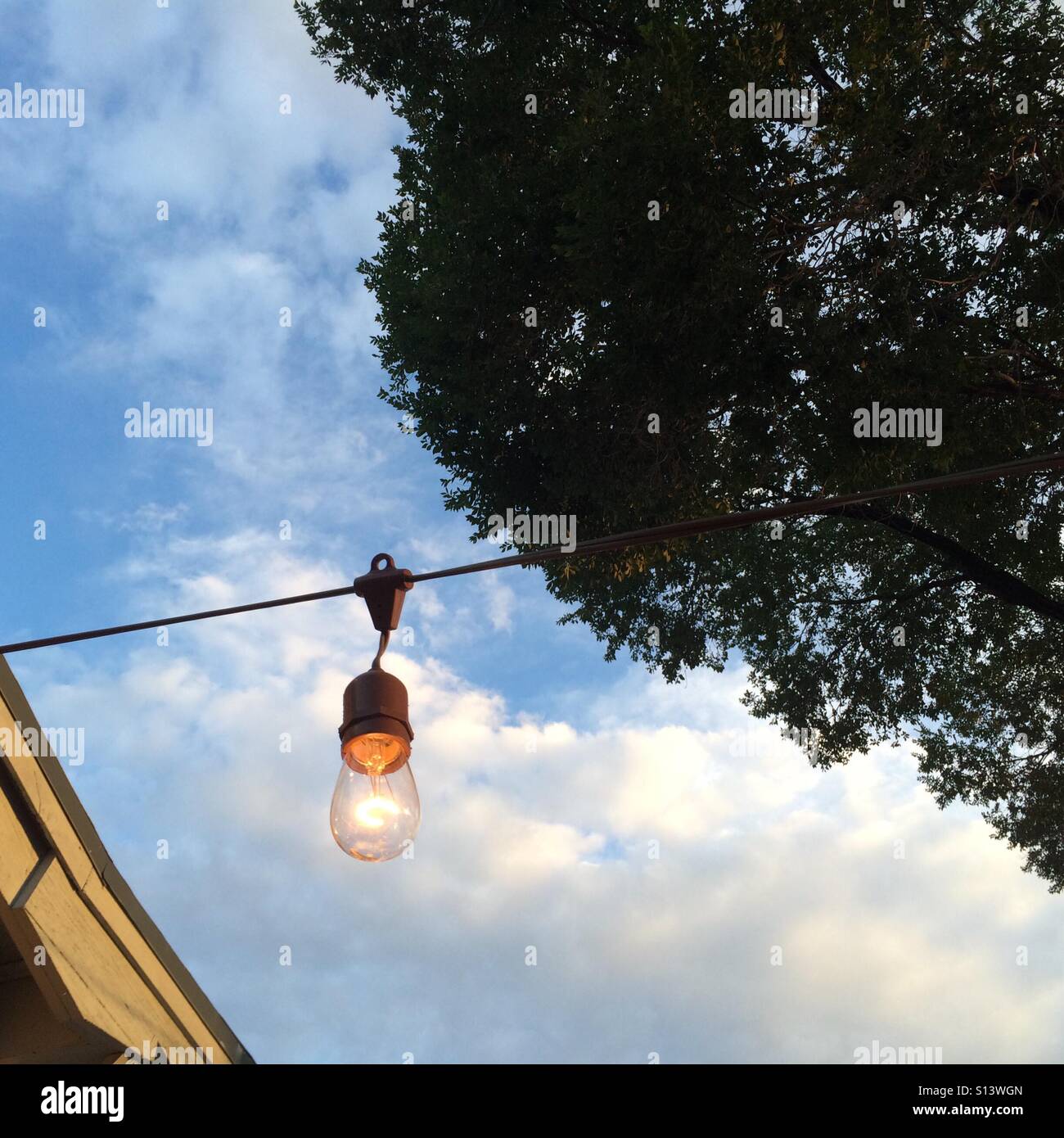 A bare bulb hangs in a backyard at evening time. Stock Photo